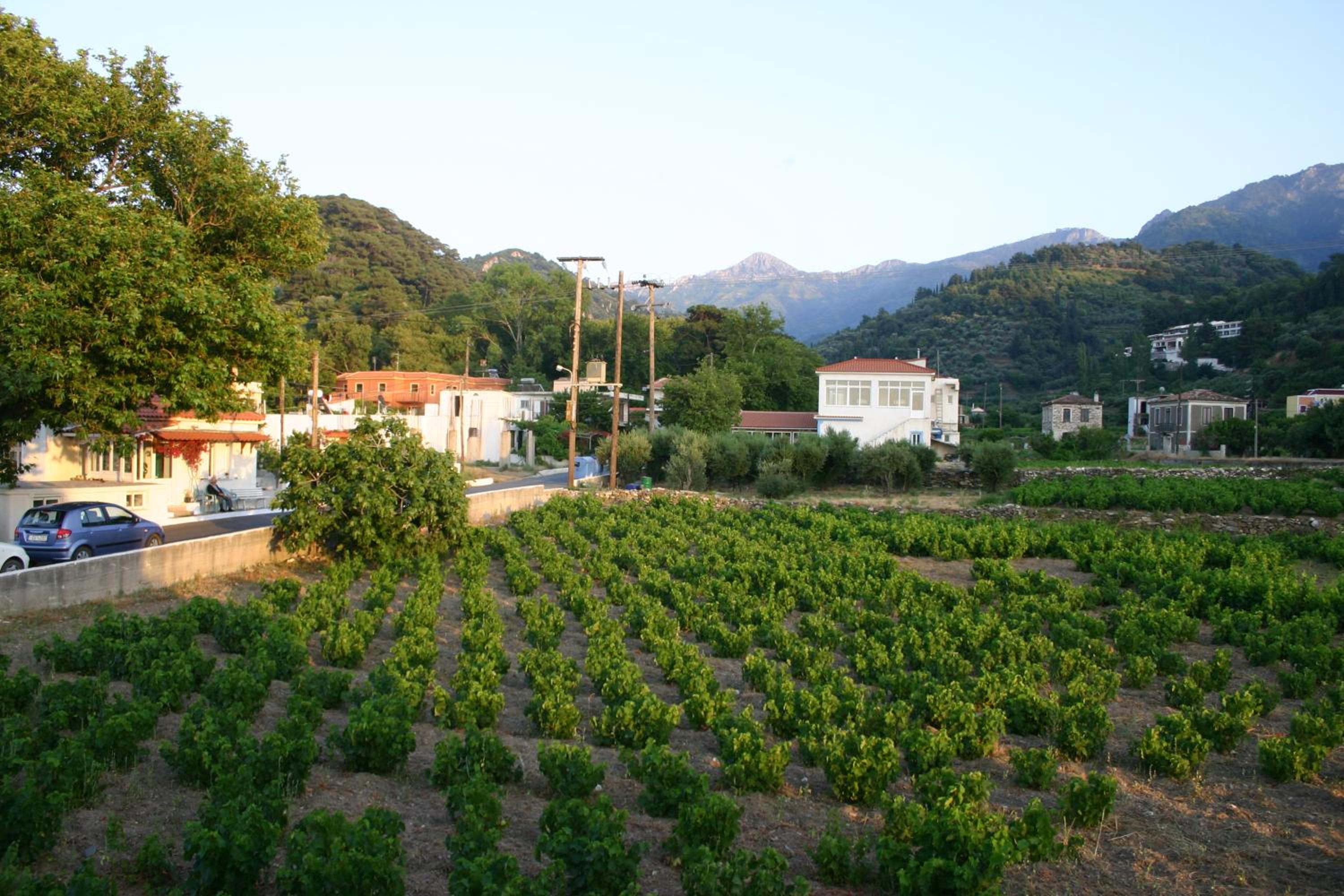 Hotel Apartment Agios Konstantinos