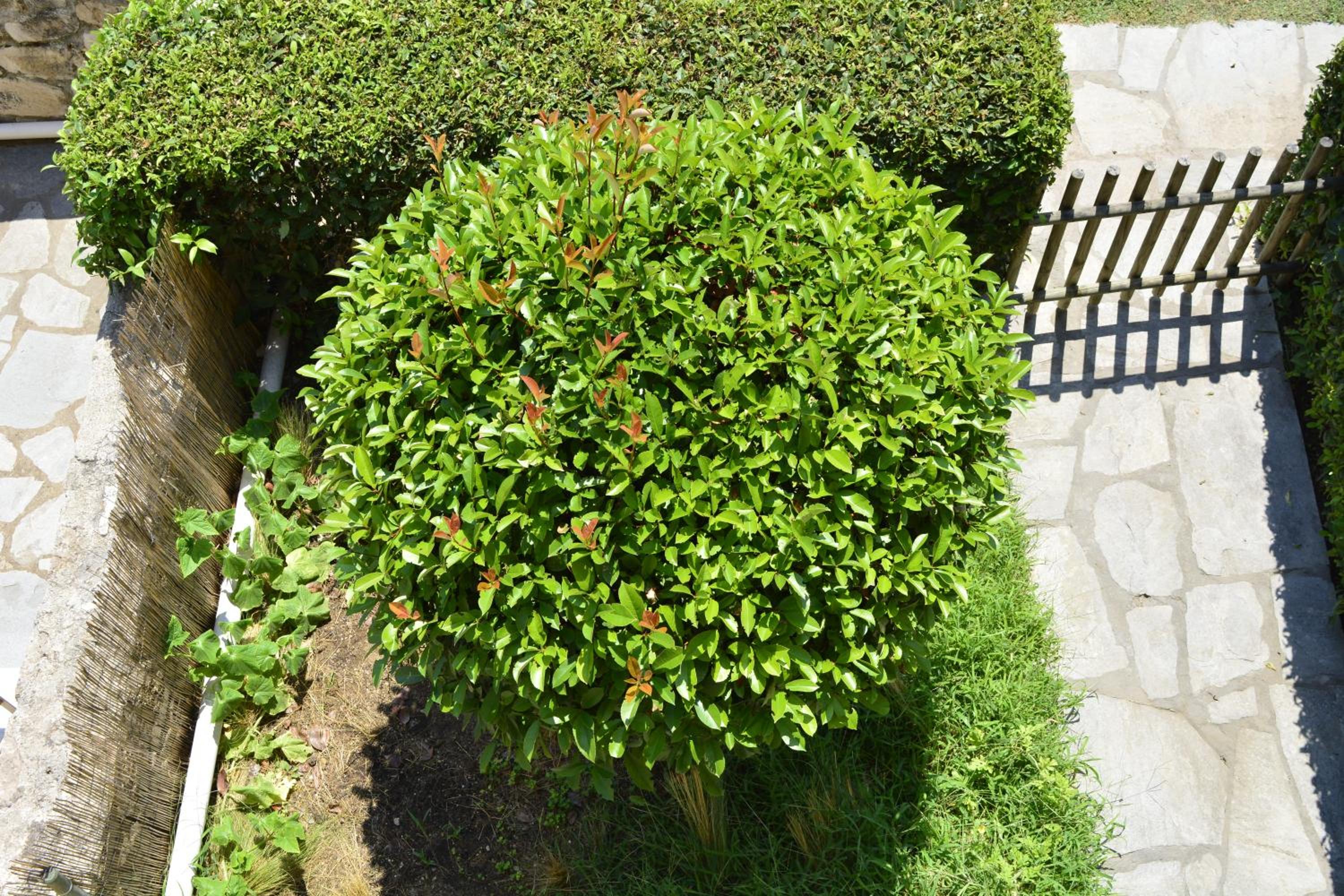 Photo 25
