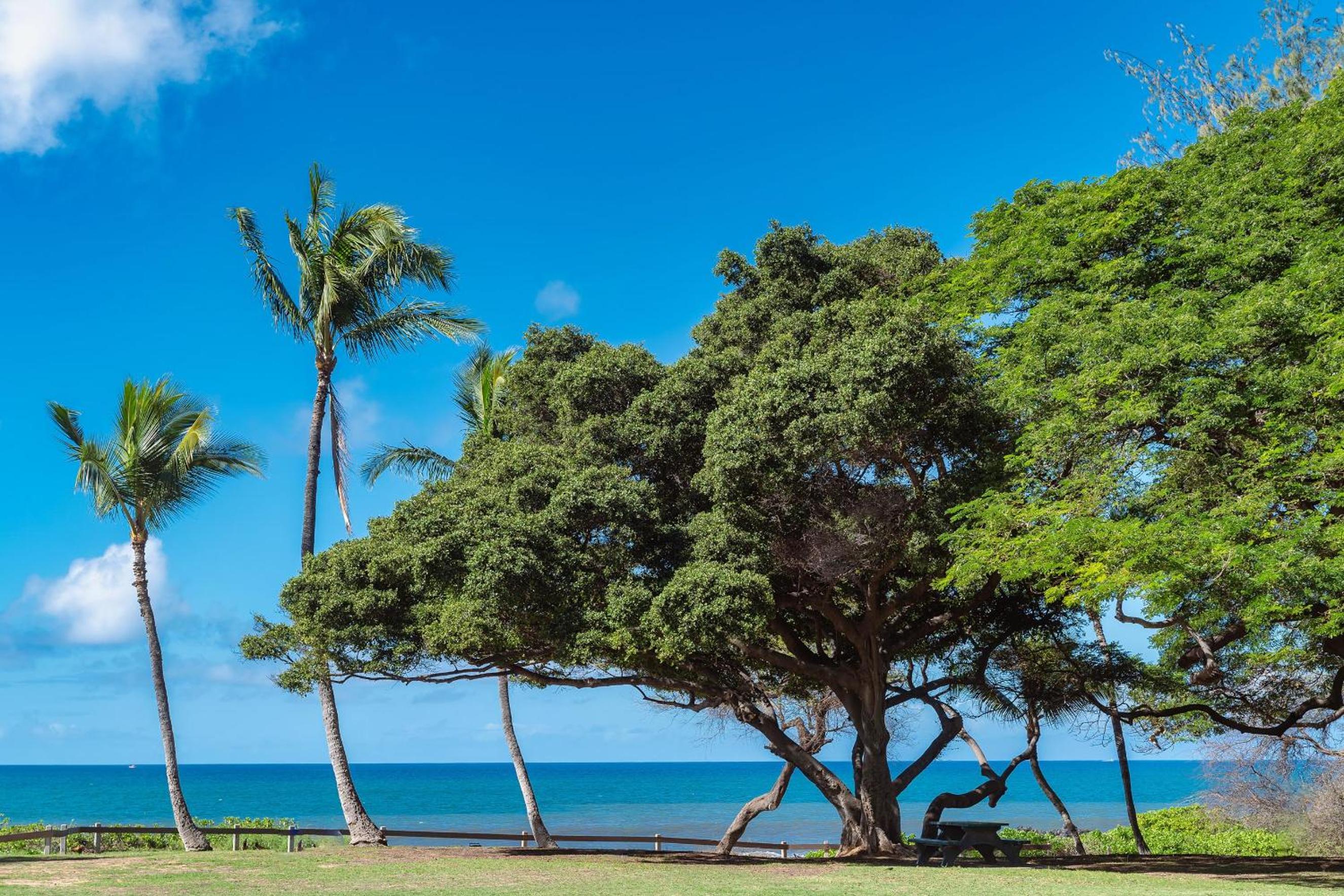 Haleakala Shores A-308 - Ocean/Mountain Views, Stylish 2br/2ba, Lanai, AC, Wi-Fi
