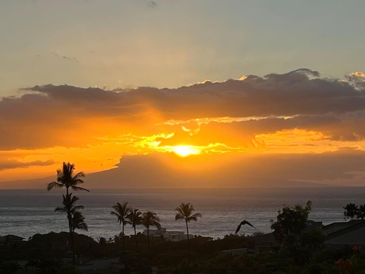 Endless Ocean Views 1bd and 2 bath