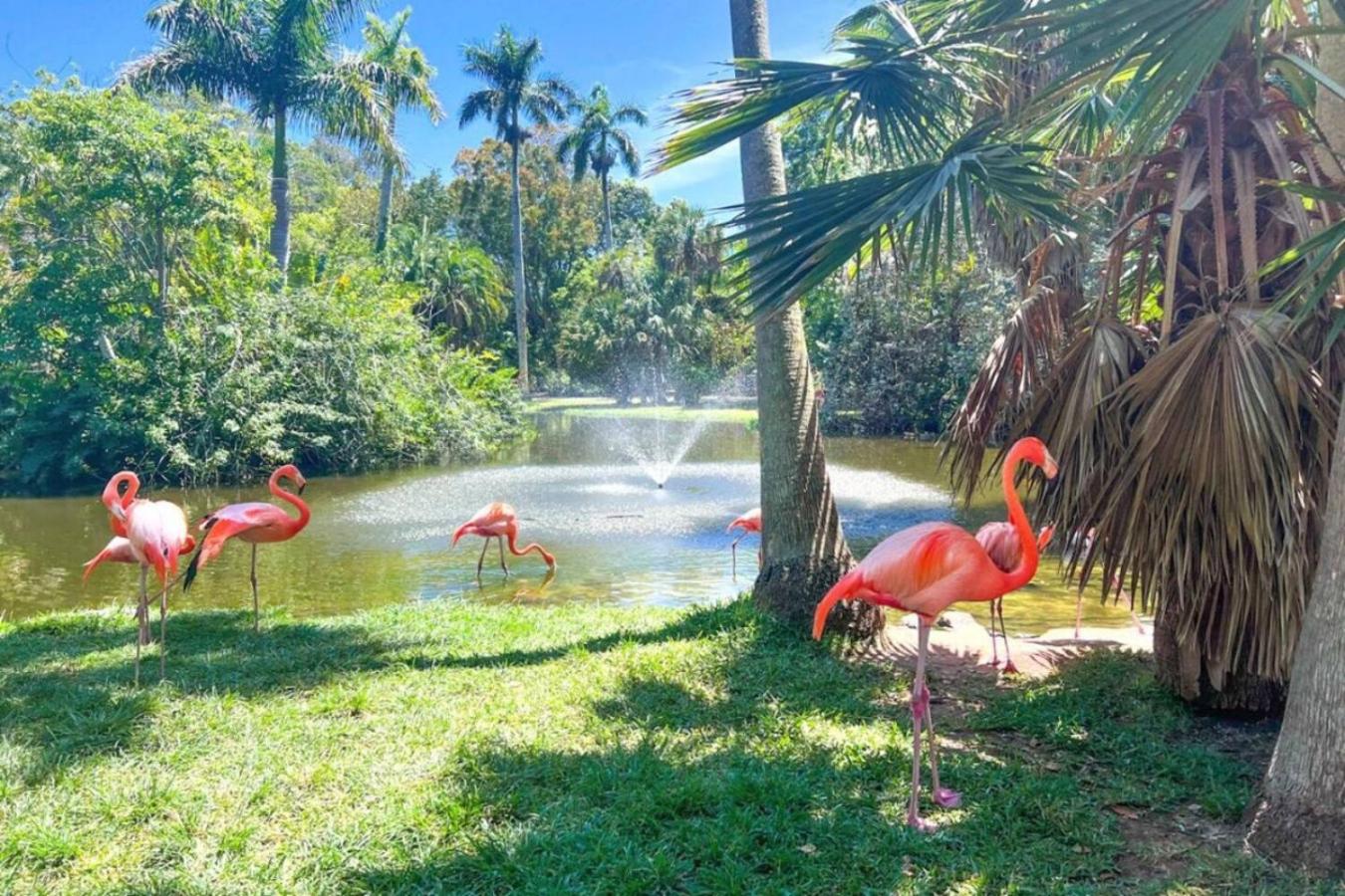 Comfortable Stay Near Golf Attractions Rm3 shared home
