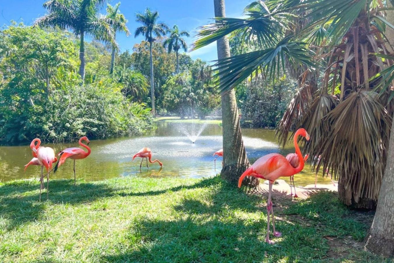 Private Stay Near Ed Smith Stadium-Great Location Rm4 Shared home