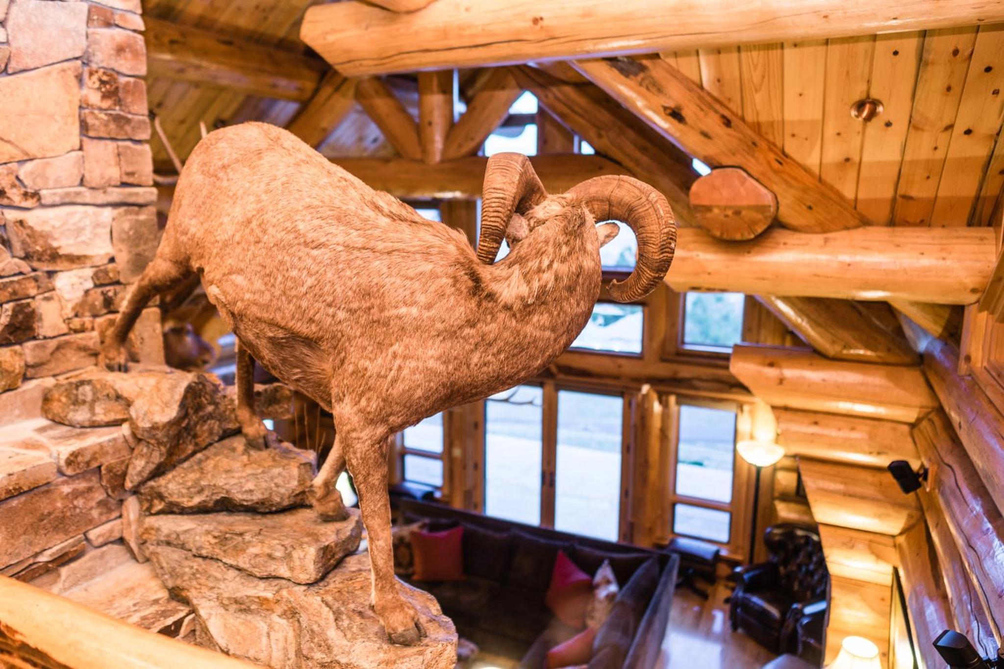 Coyote Bluff Estate