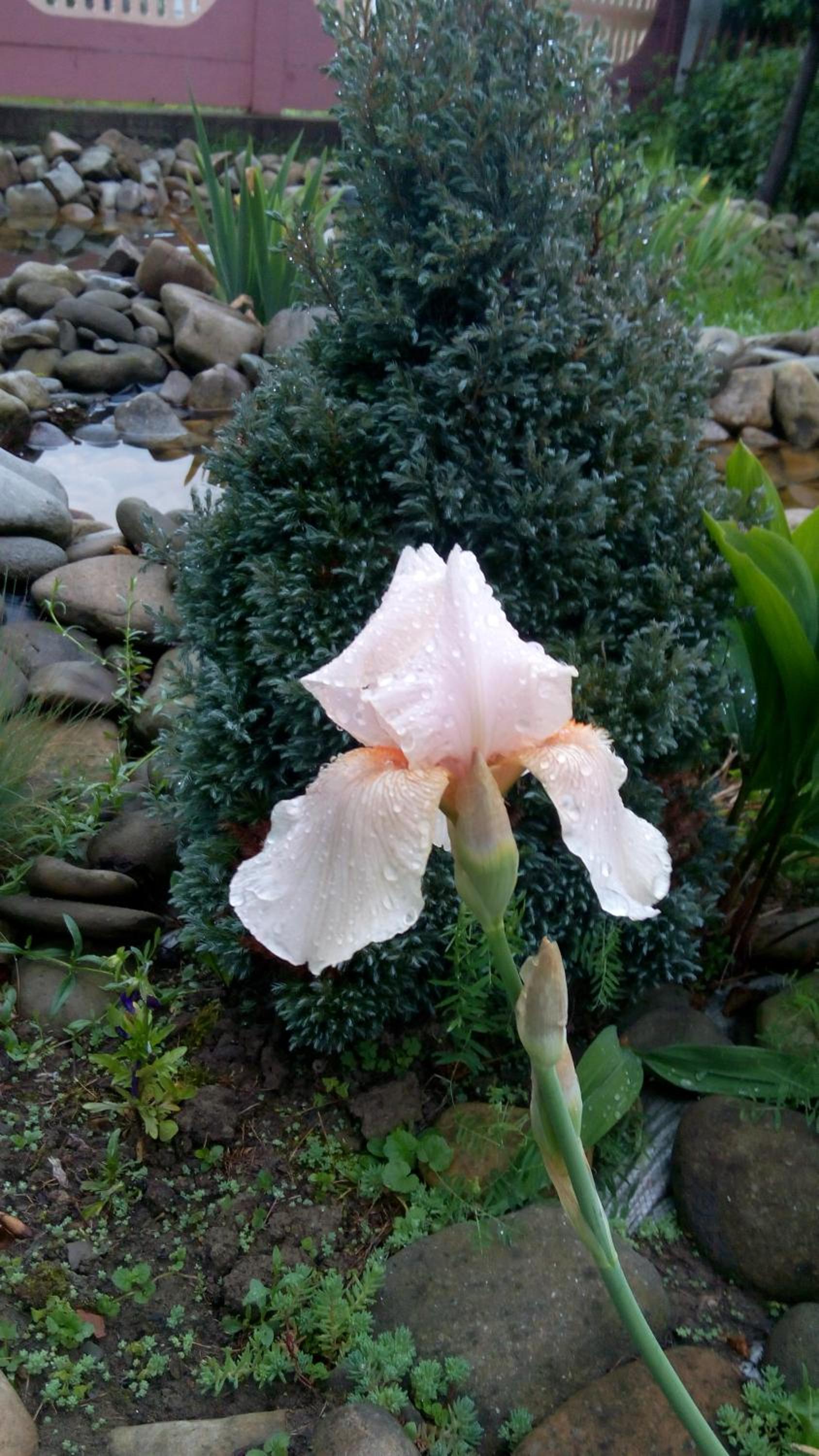 Photo 49