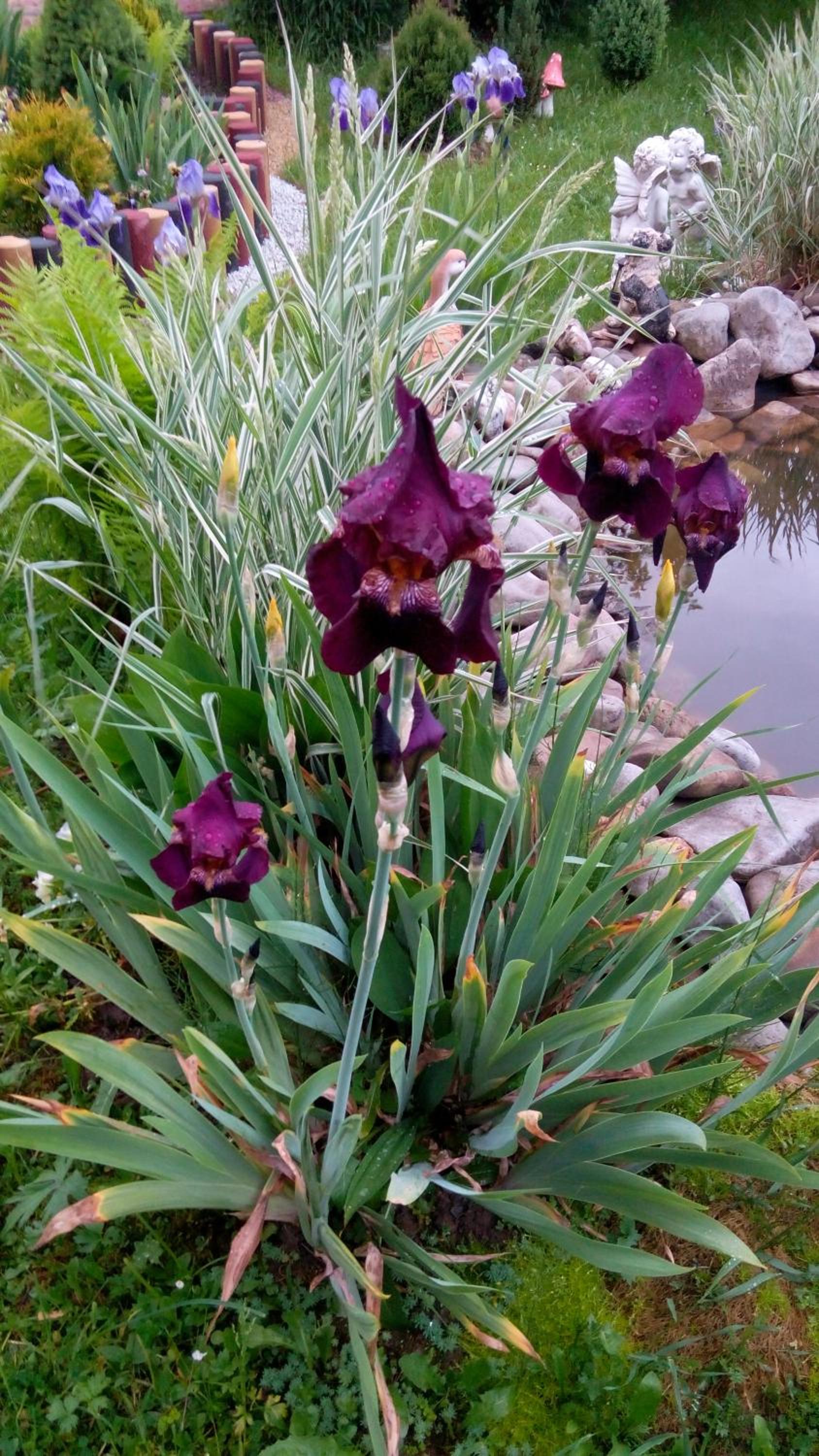 Photo 48