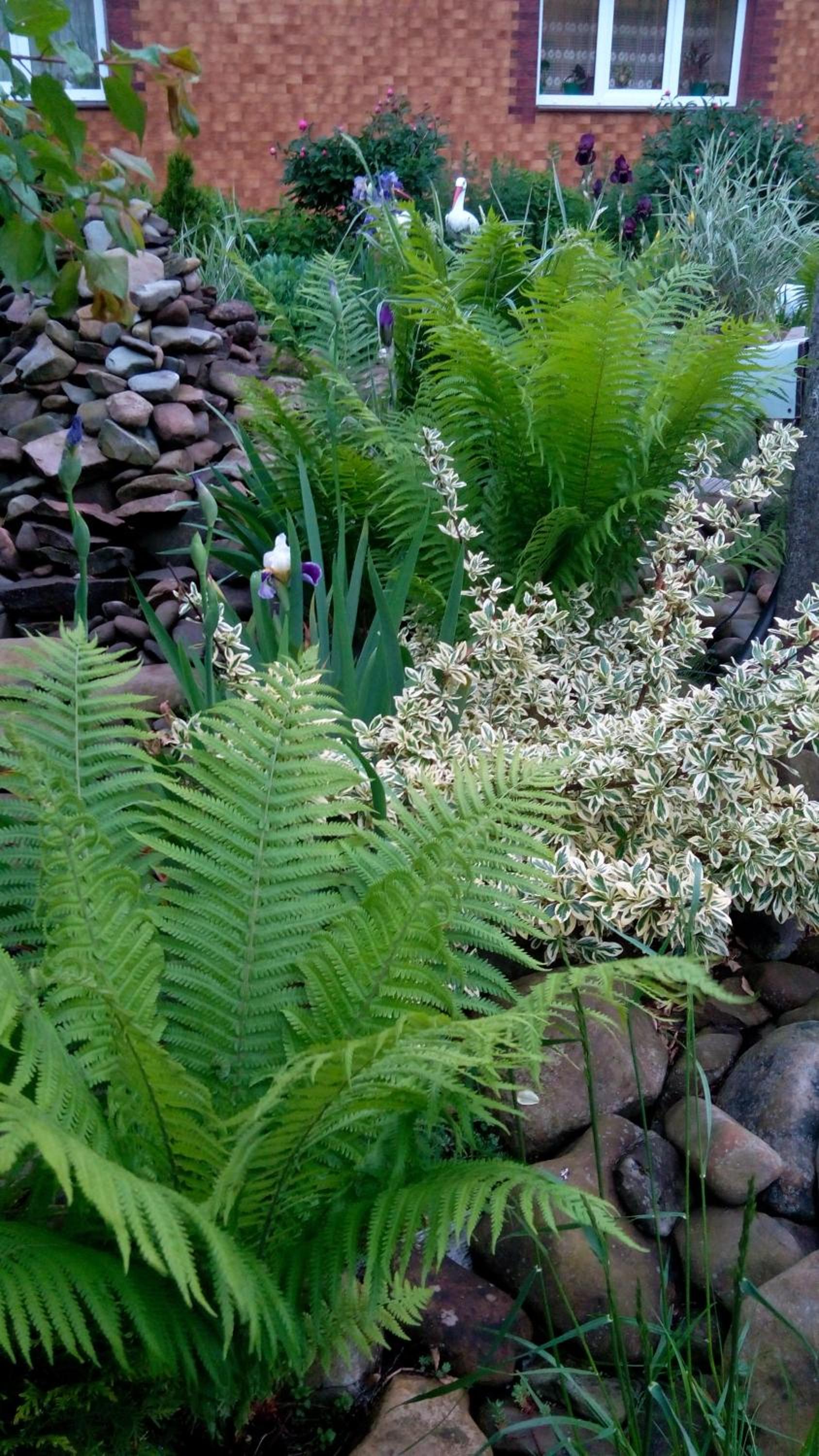 Photo 47