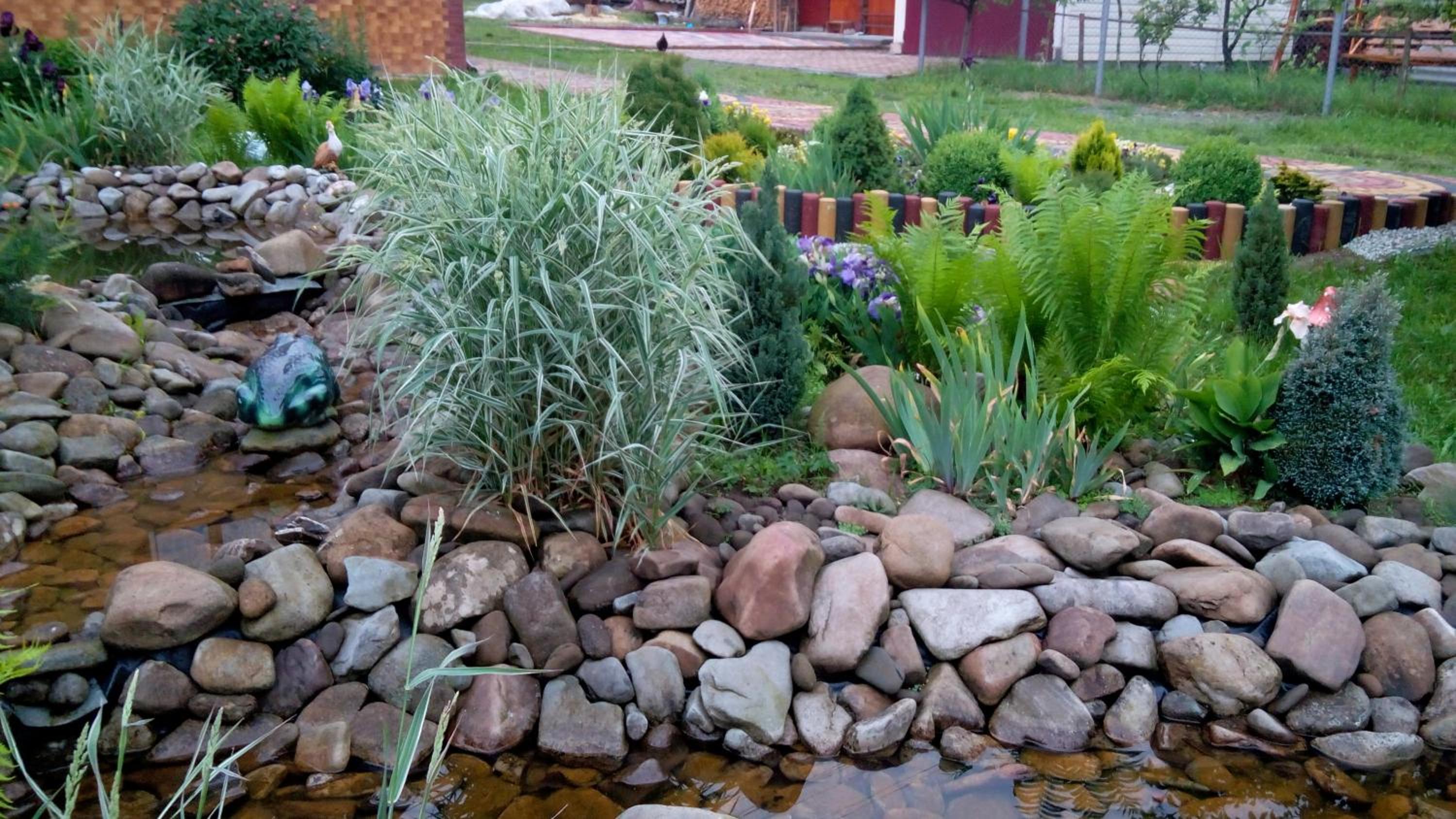 Photo 34