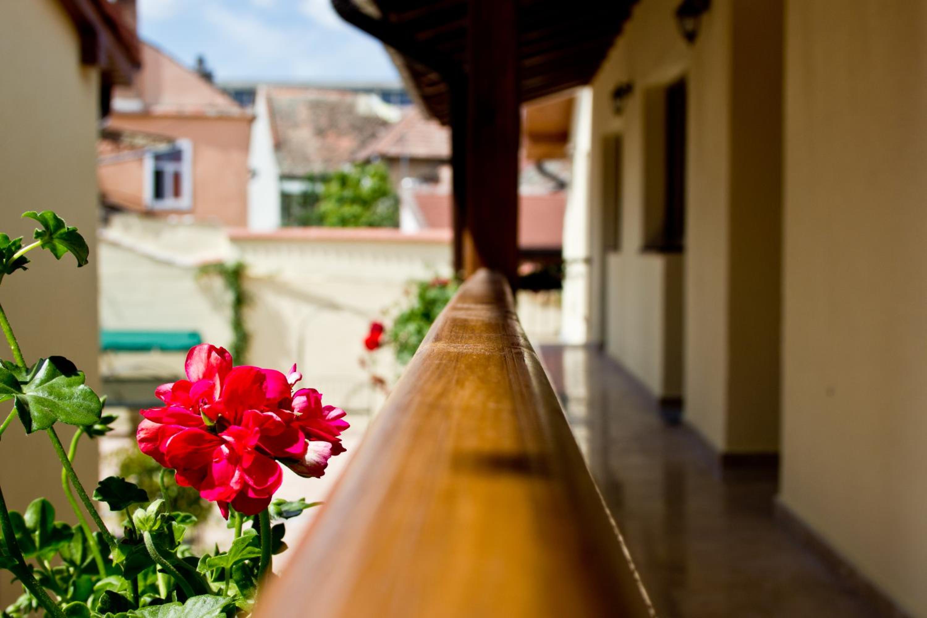 Rosen Villa Sibiu — photo 50