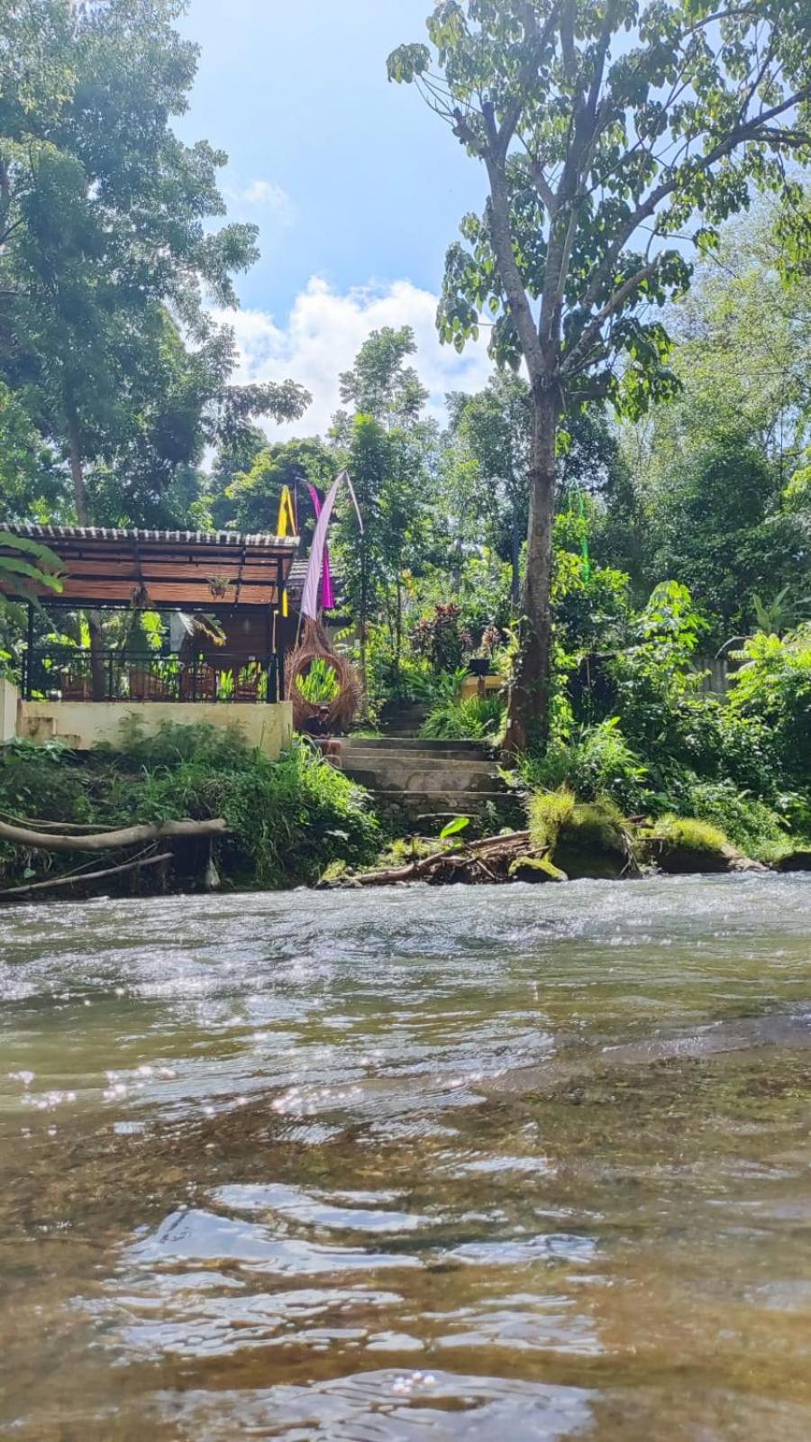 Jungle River 5 BR Villa- Pool, Yoga, Tubing Near Ubud