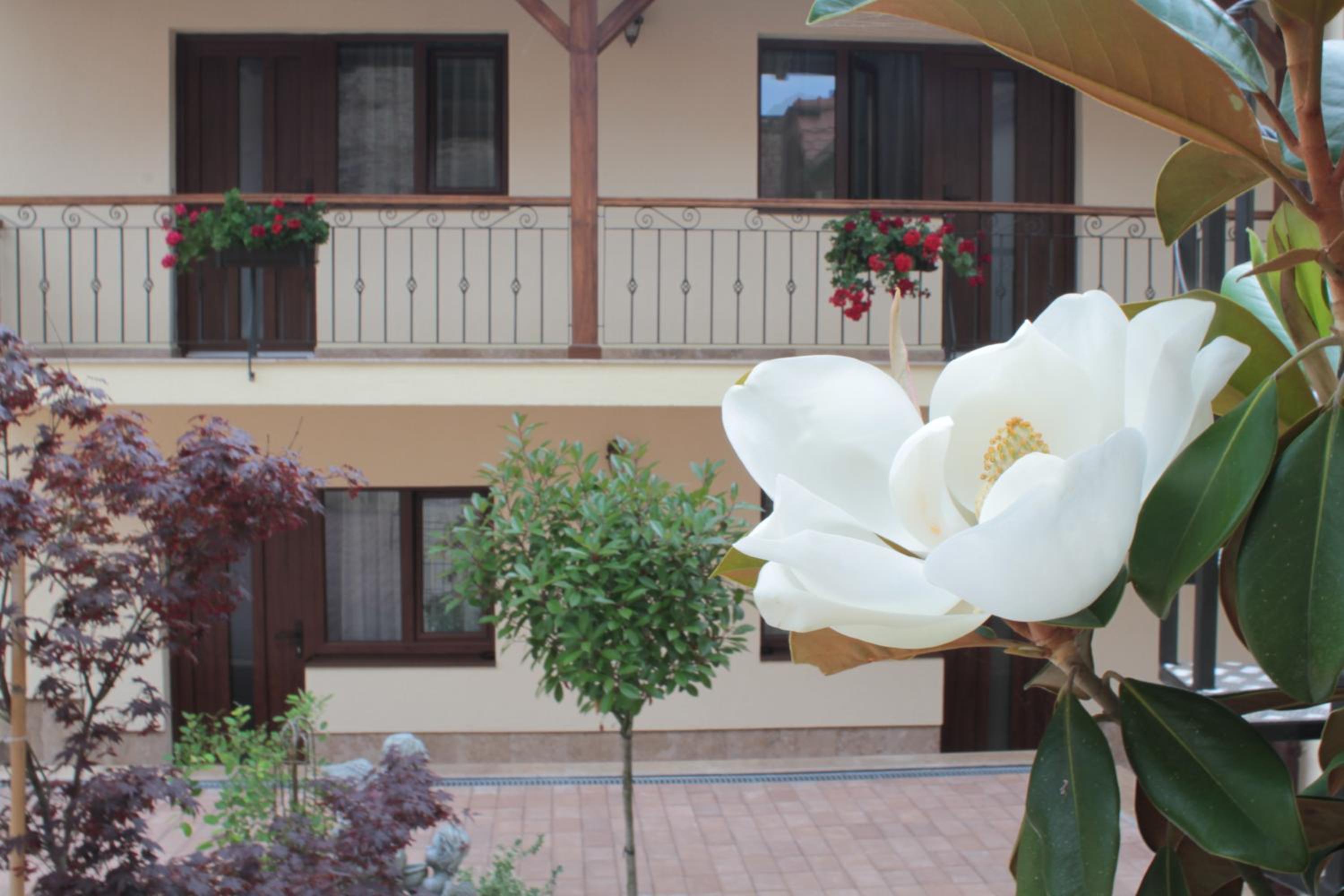 Rosen Villa Sibiu — photo 107
