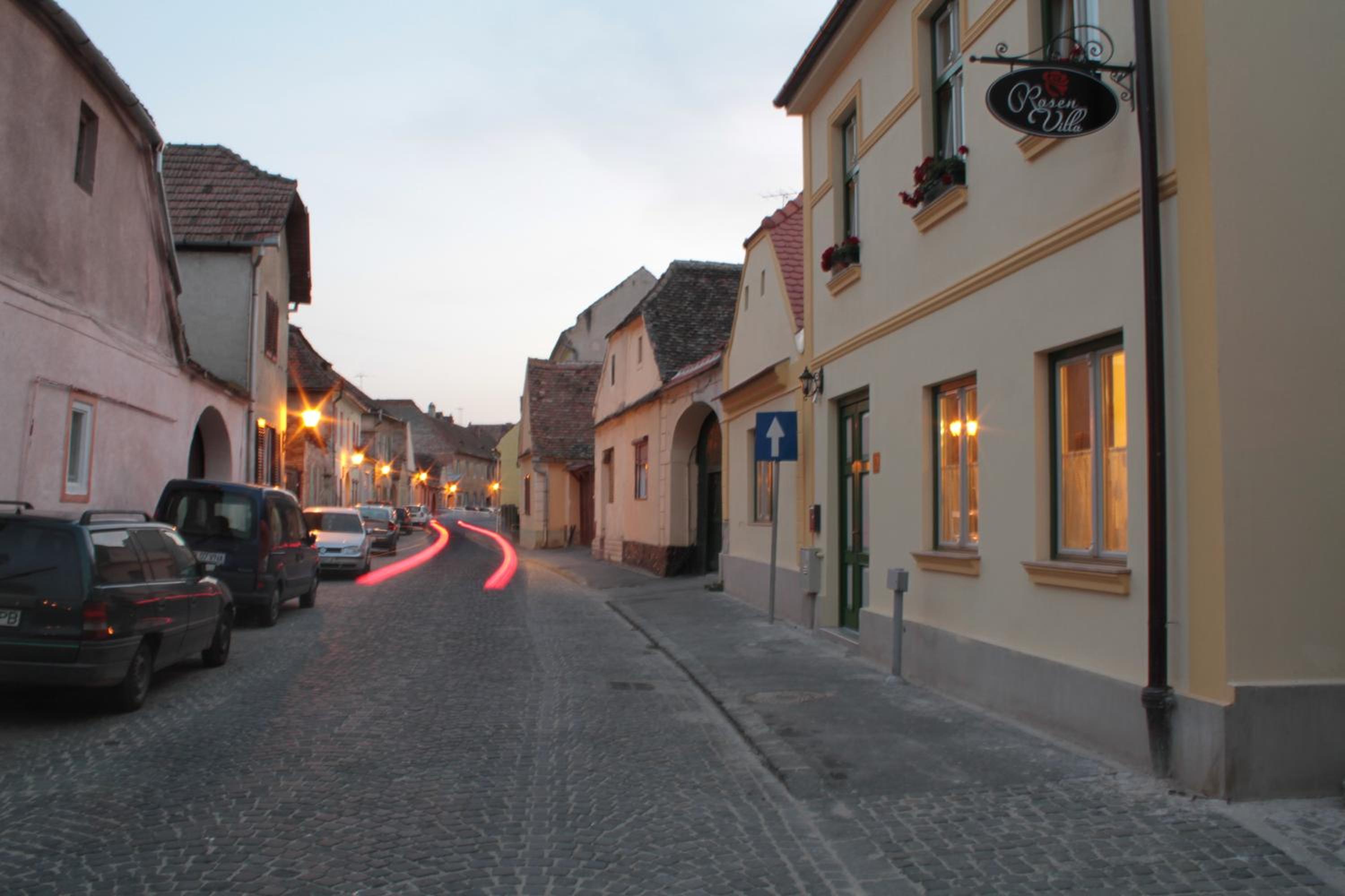 Rosen Villa Sibiu — photo 46