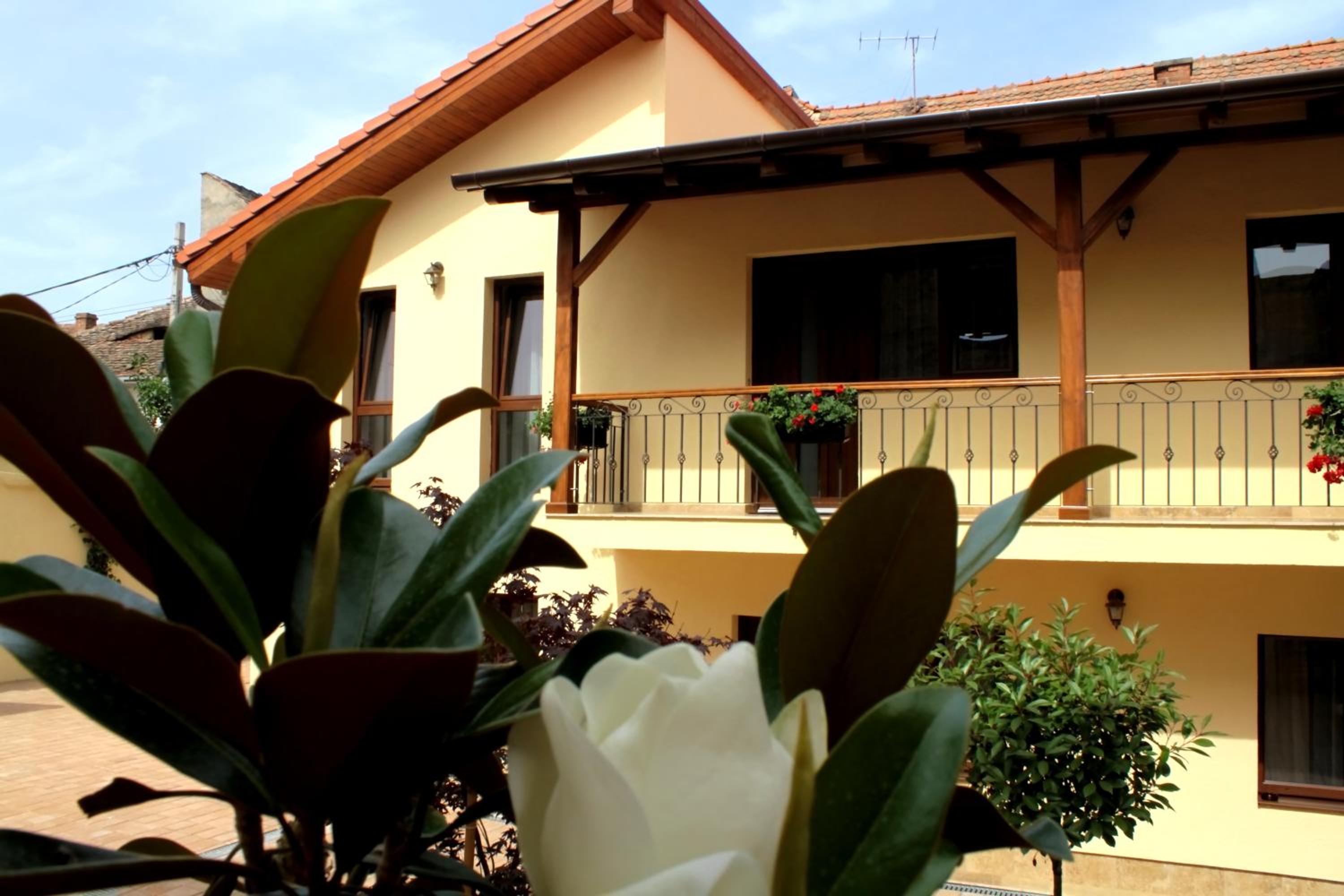 Rosen Villa Sibiu — photo 28