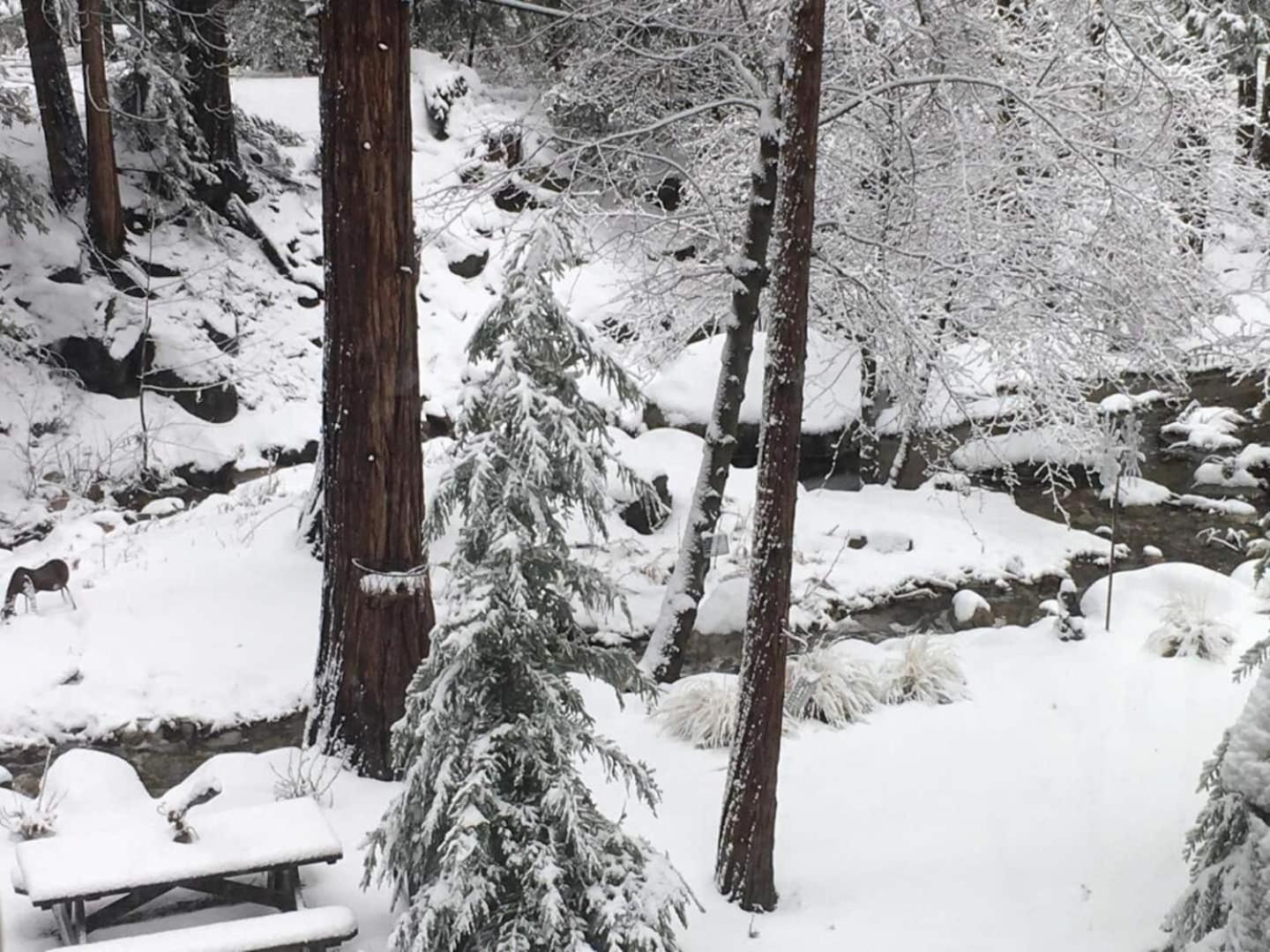 Idyllodge Luxury Creekside Estate 15 Acres