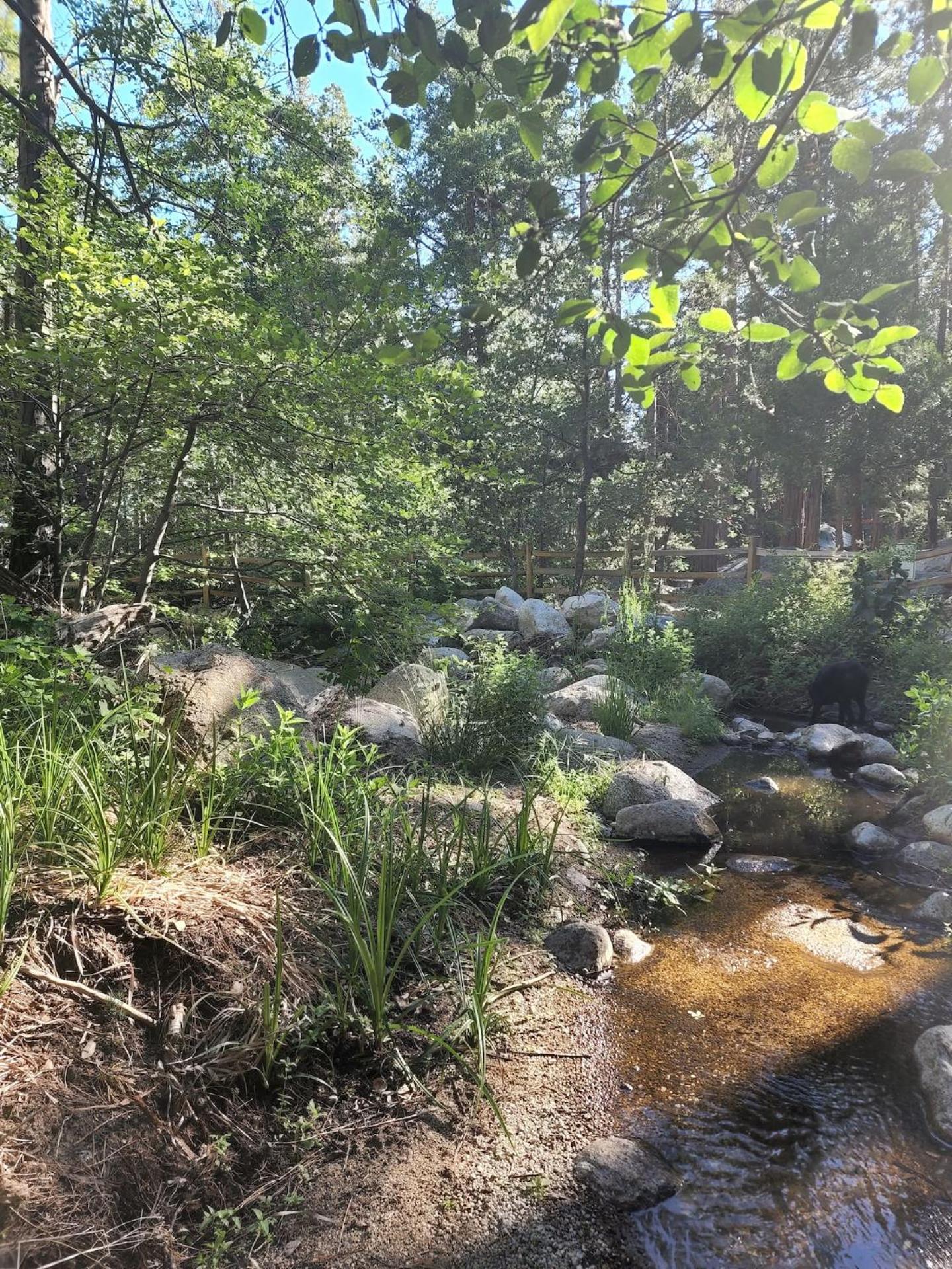 Idyllodge Luxury Creekside Estate 15 Acres
