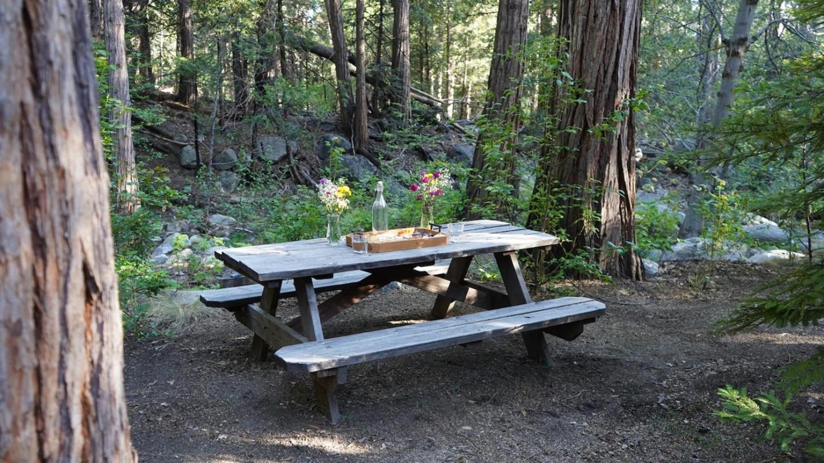 Idyllodge Luxury Creekside Estate 15 Acres