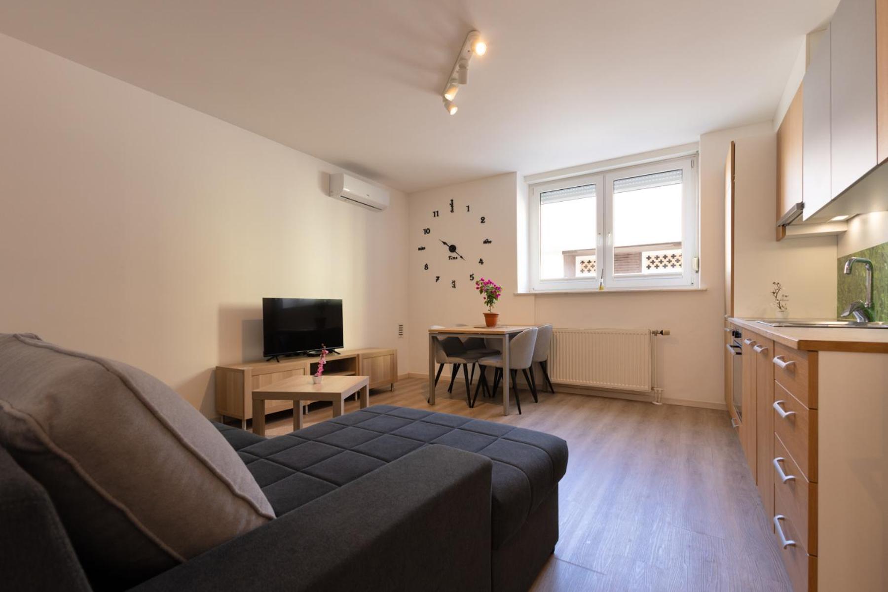 Apartma Seničica