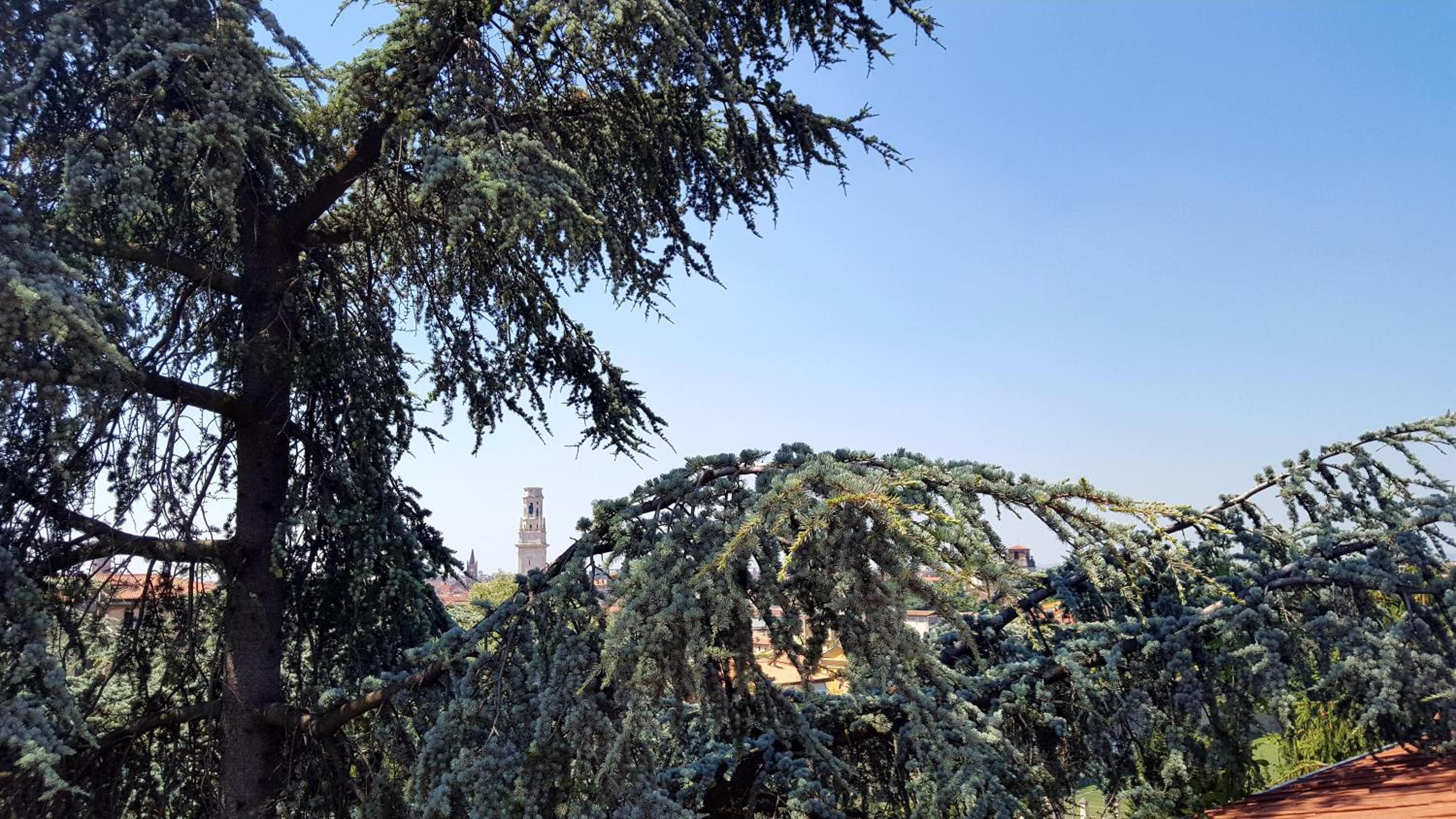 Le Dimore Center - Perfect Location for Verona