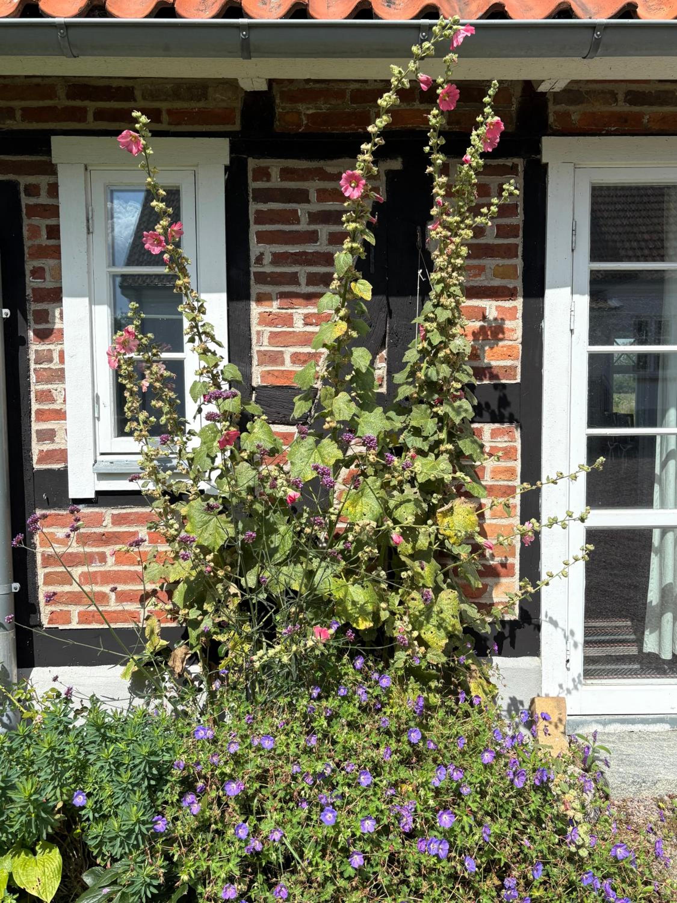 Hönshuset Kullabygden, photo 13