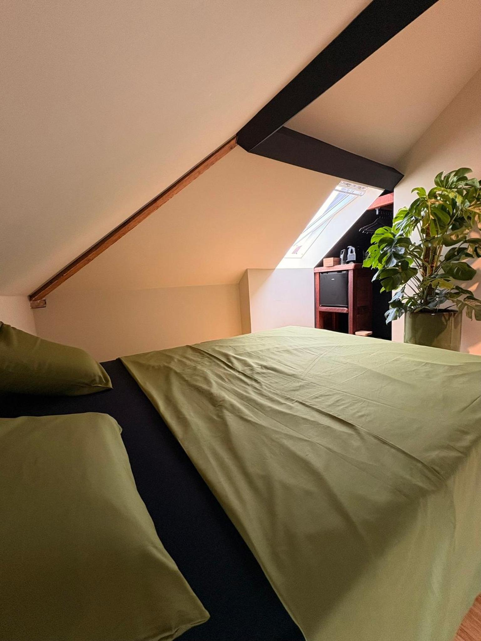 Casa Verde Brugge