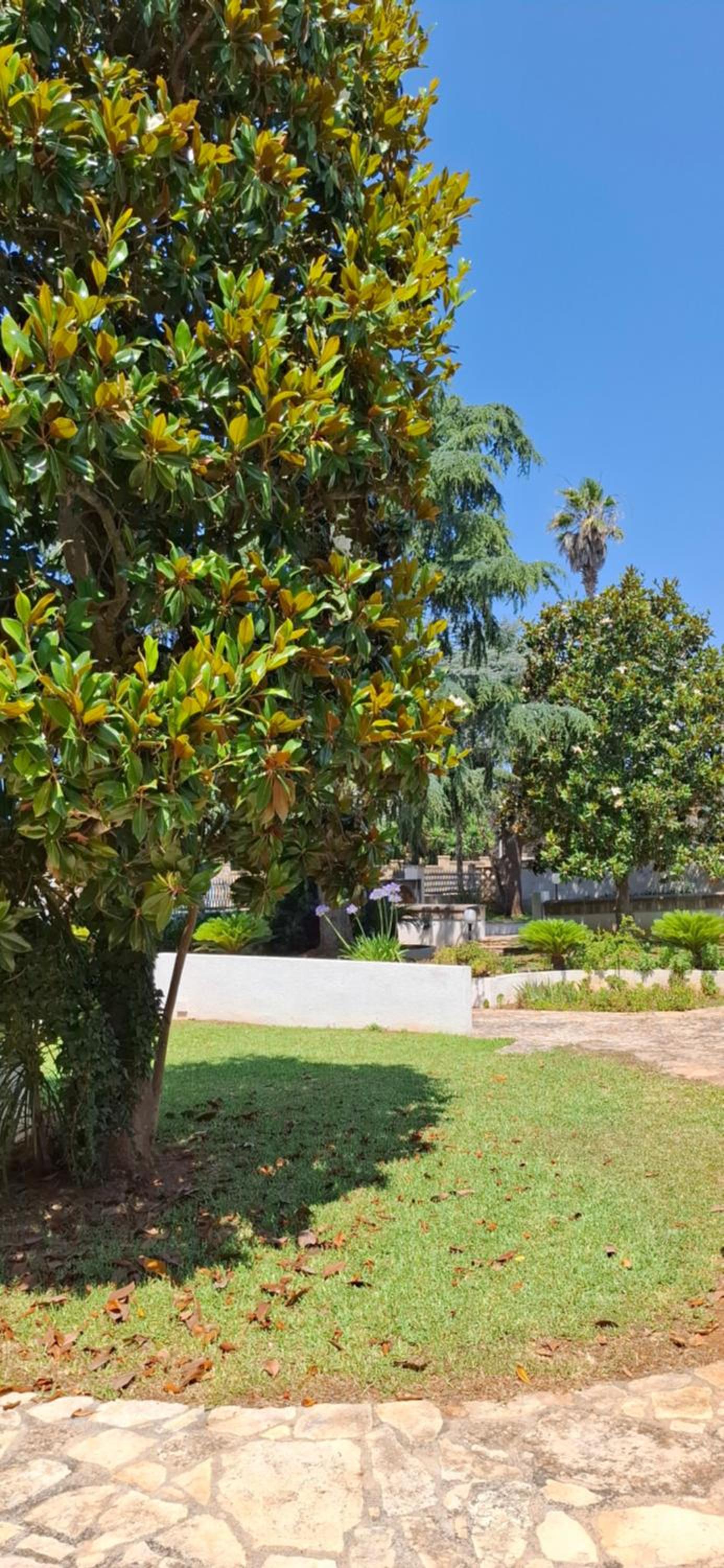 B&B Solepineta, photo 26