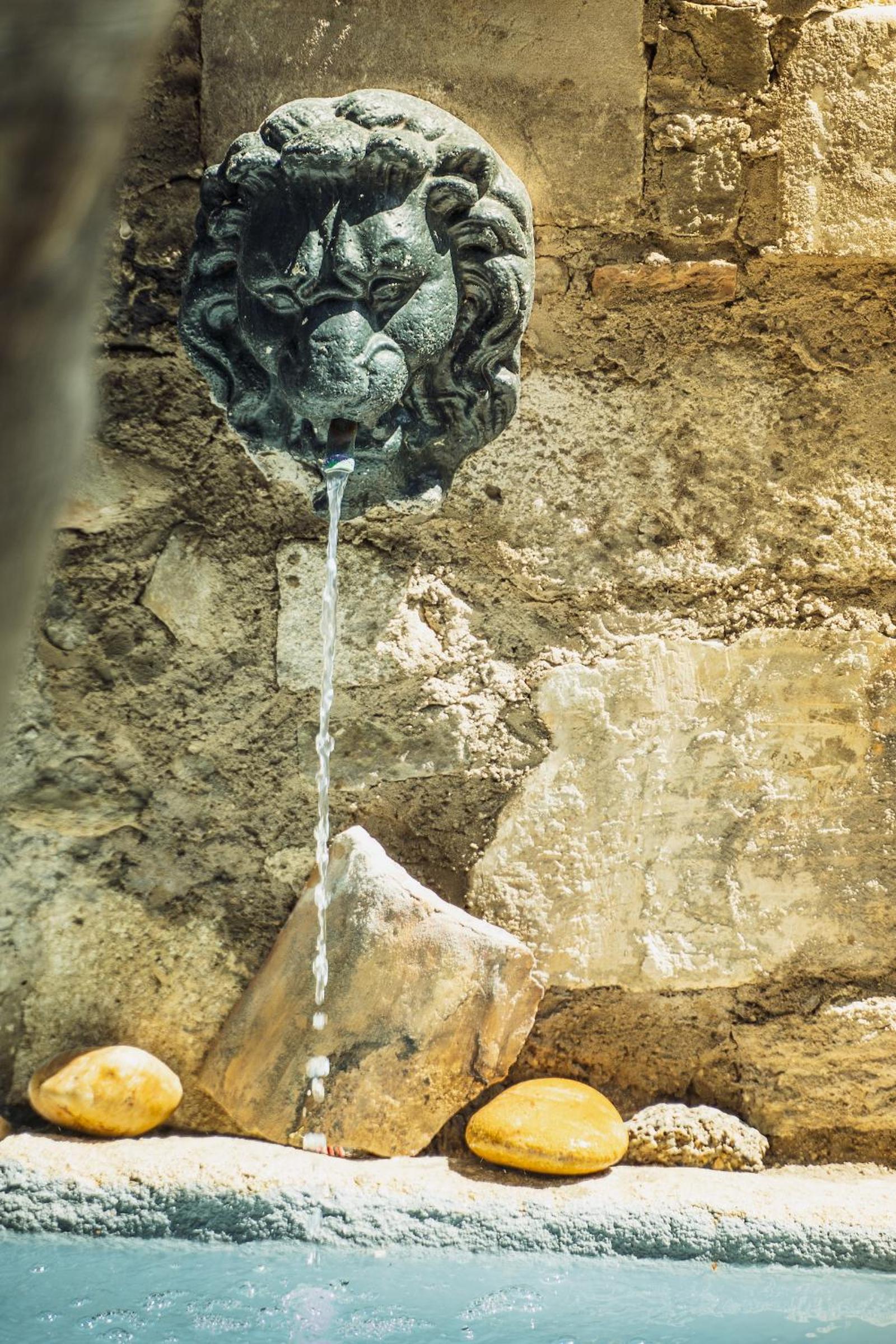 Photo 51