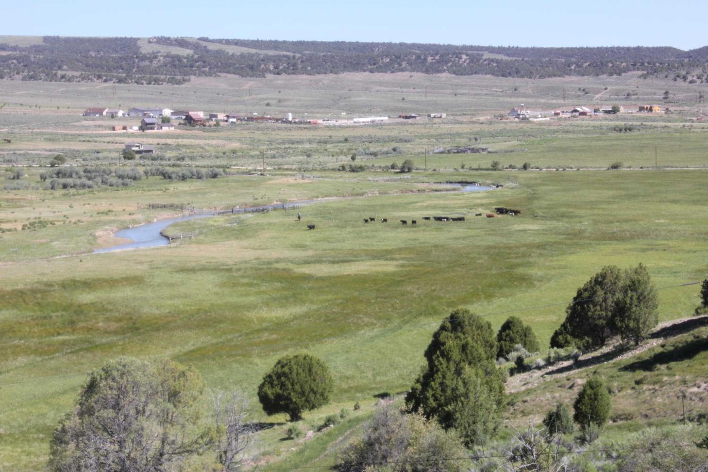 Sevier River Ranch & Cattle Company