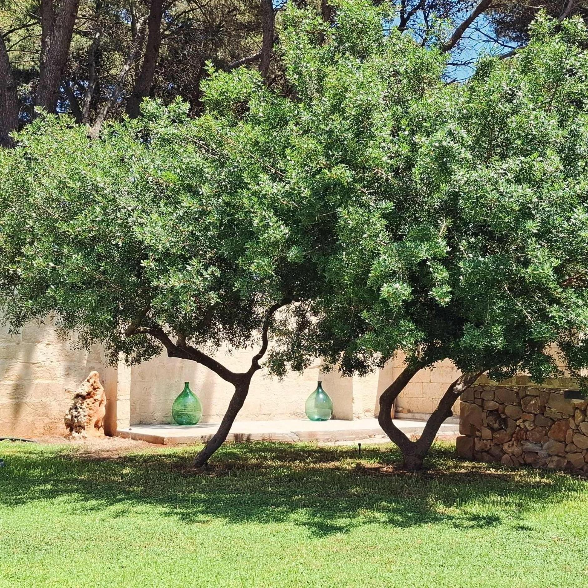 B&B Solepineta, photo 13