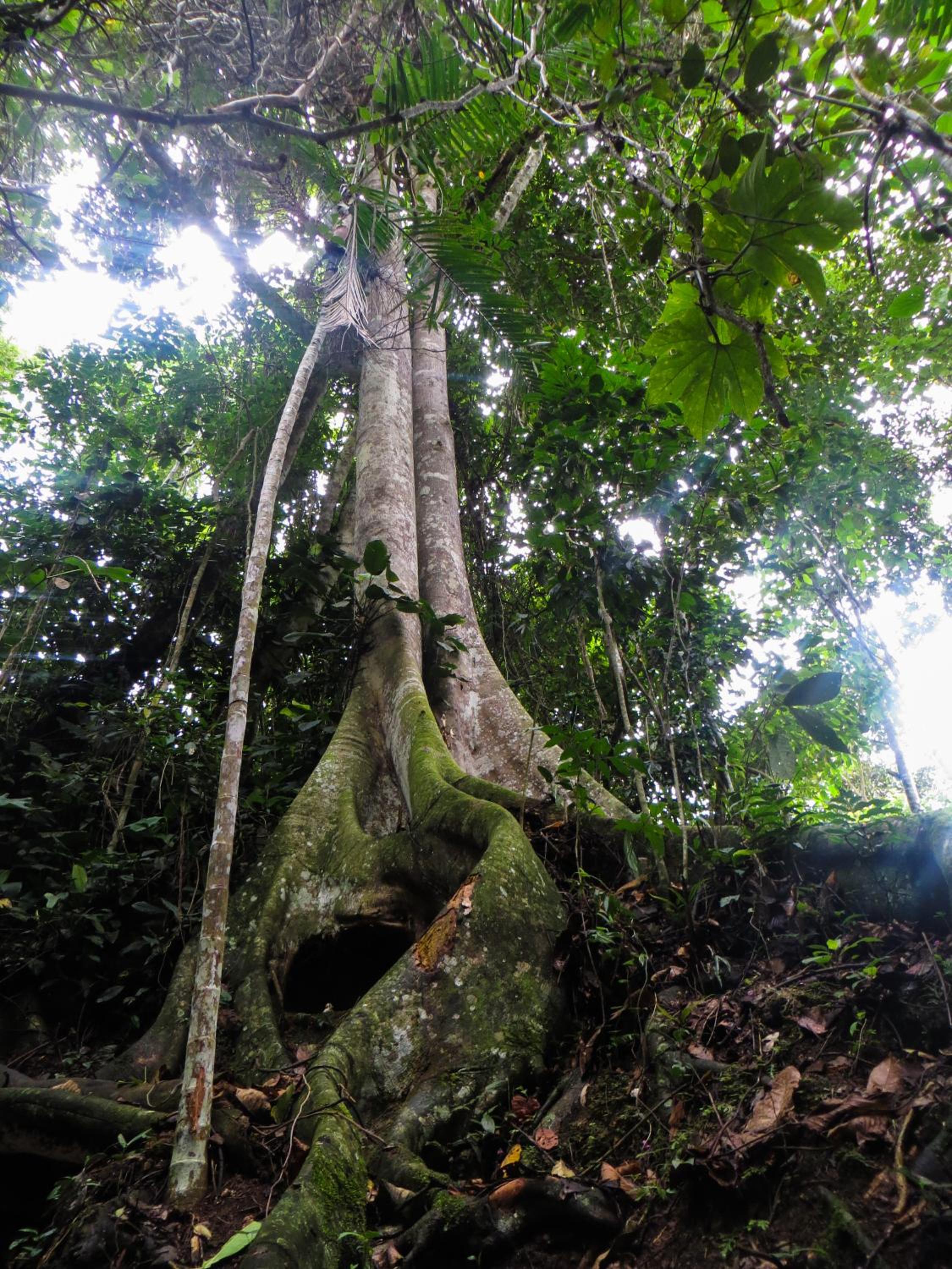 El Encanto Nature Reserve
