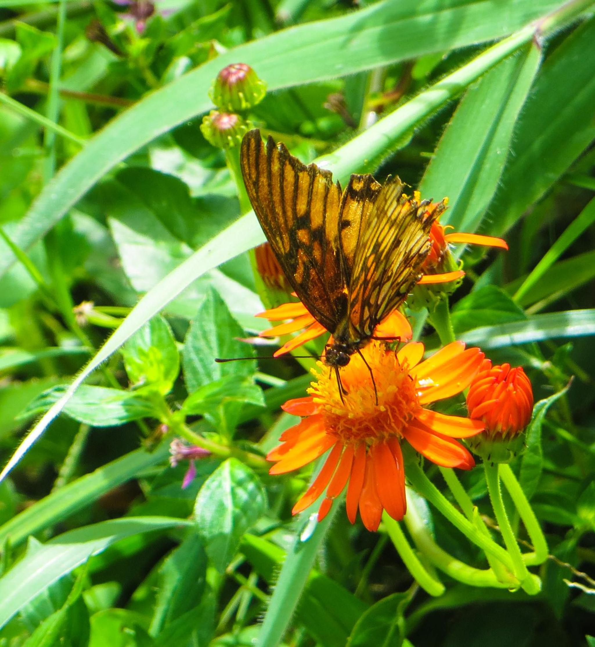 El Encanto Nature Reserve