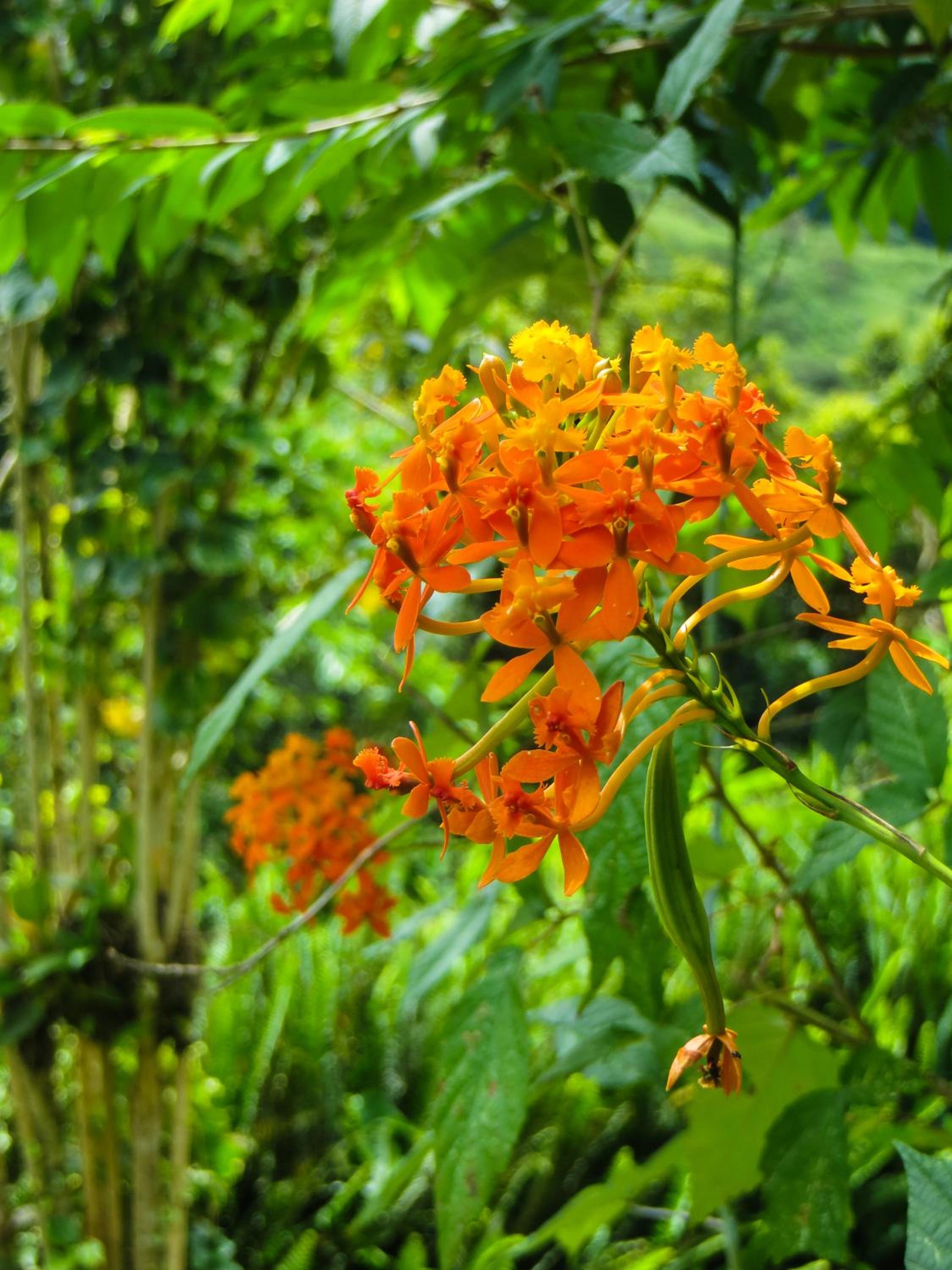 El Encanto Nature Reserve