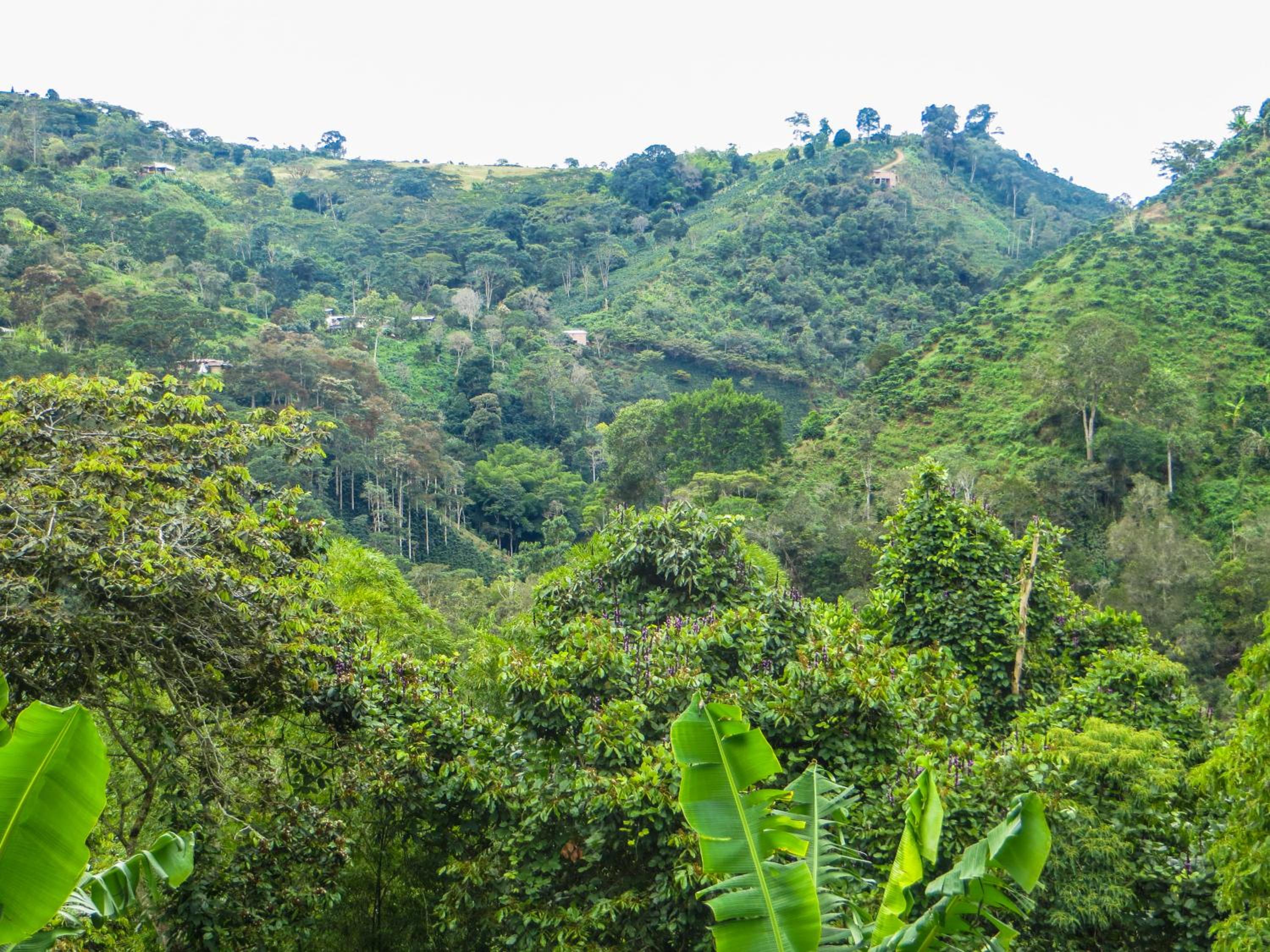 El Encanto Nature Reserve