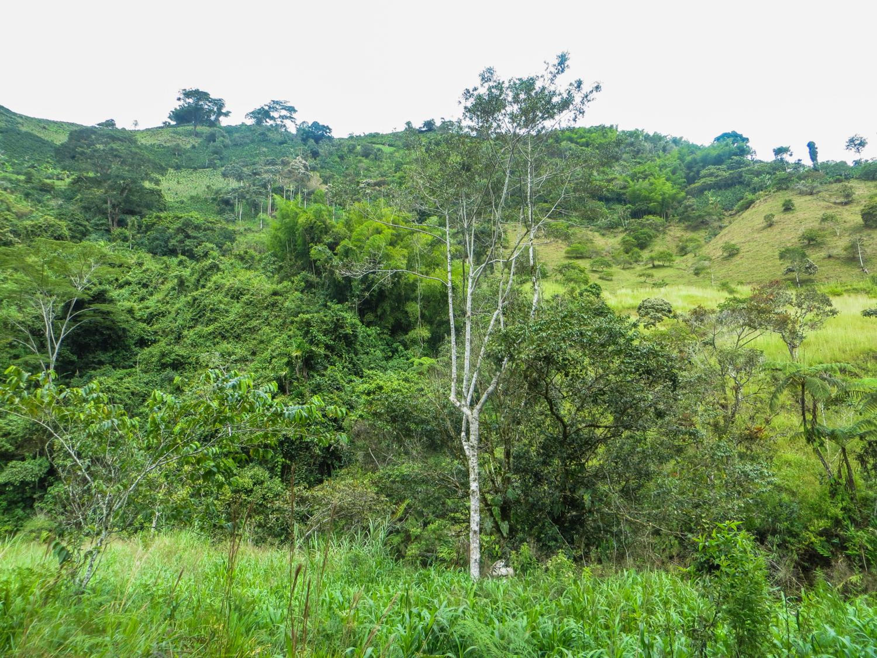 El Encanto Nature Reserve