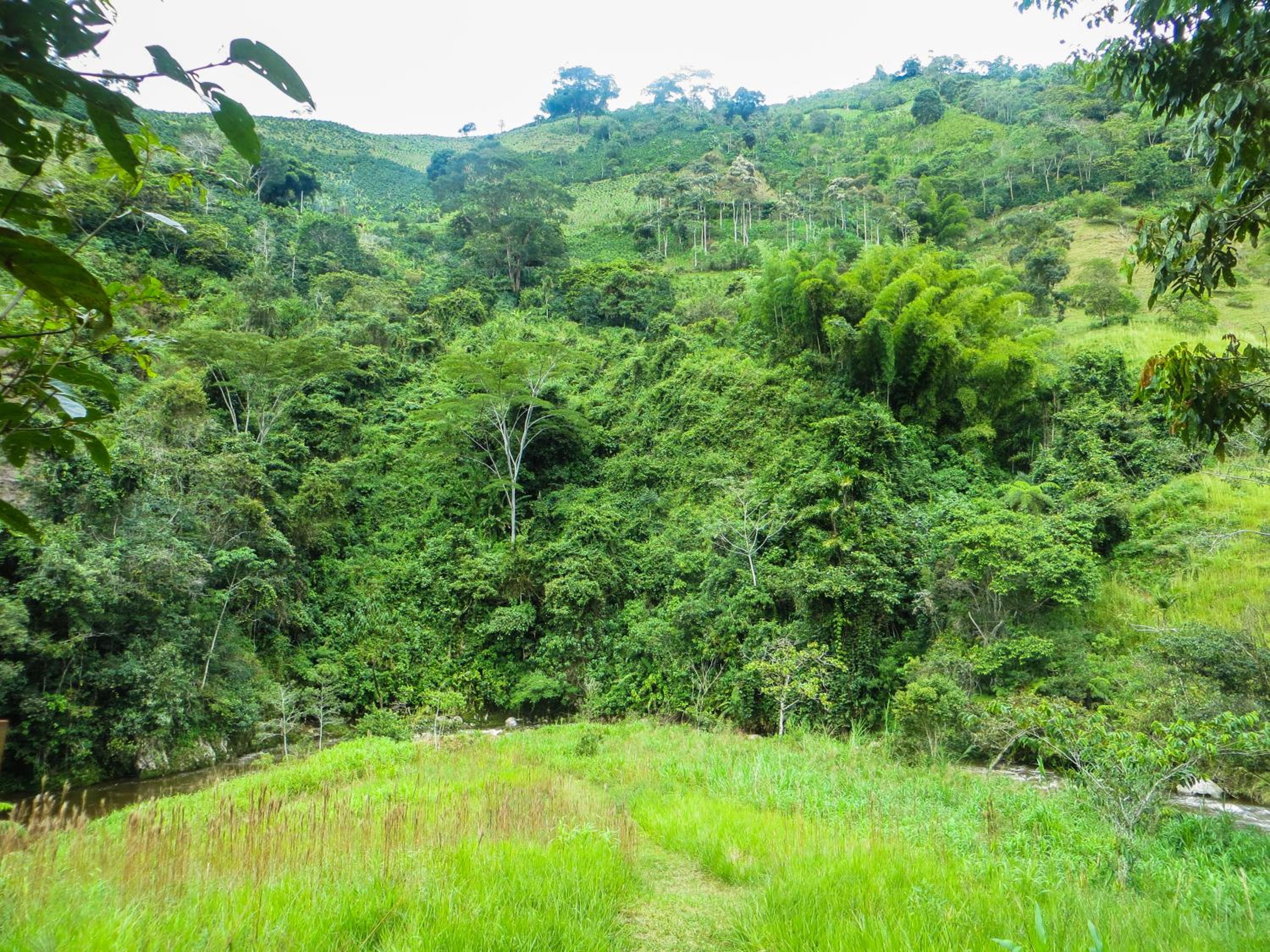 El Encanto Nature Reserve