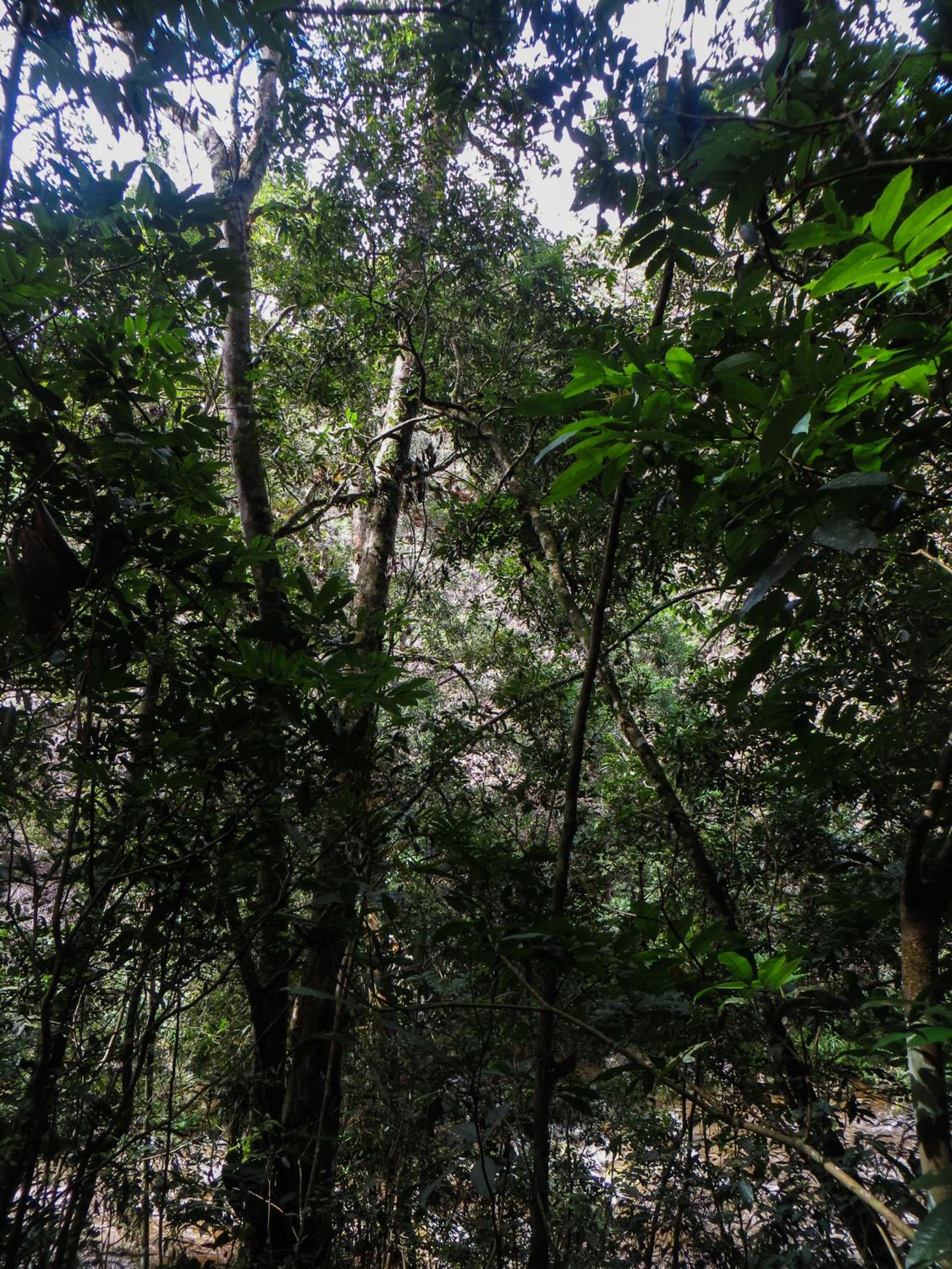 El Encanto Nature Reserve
