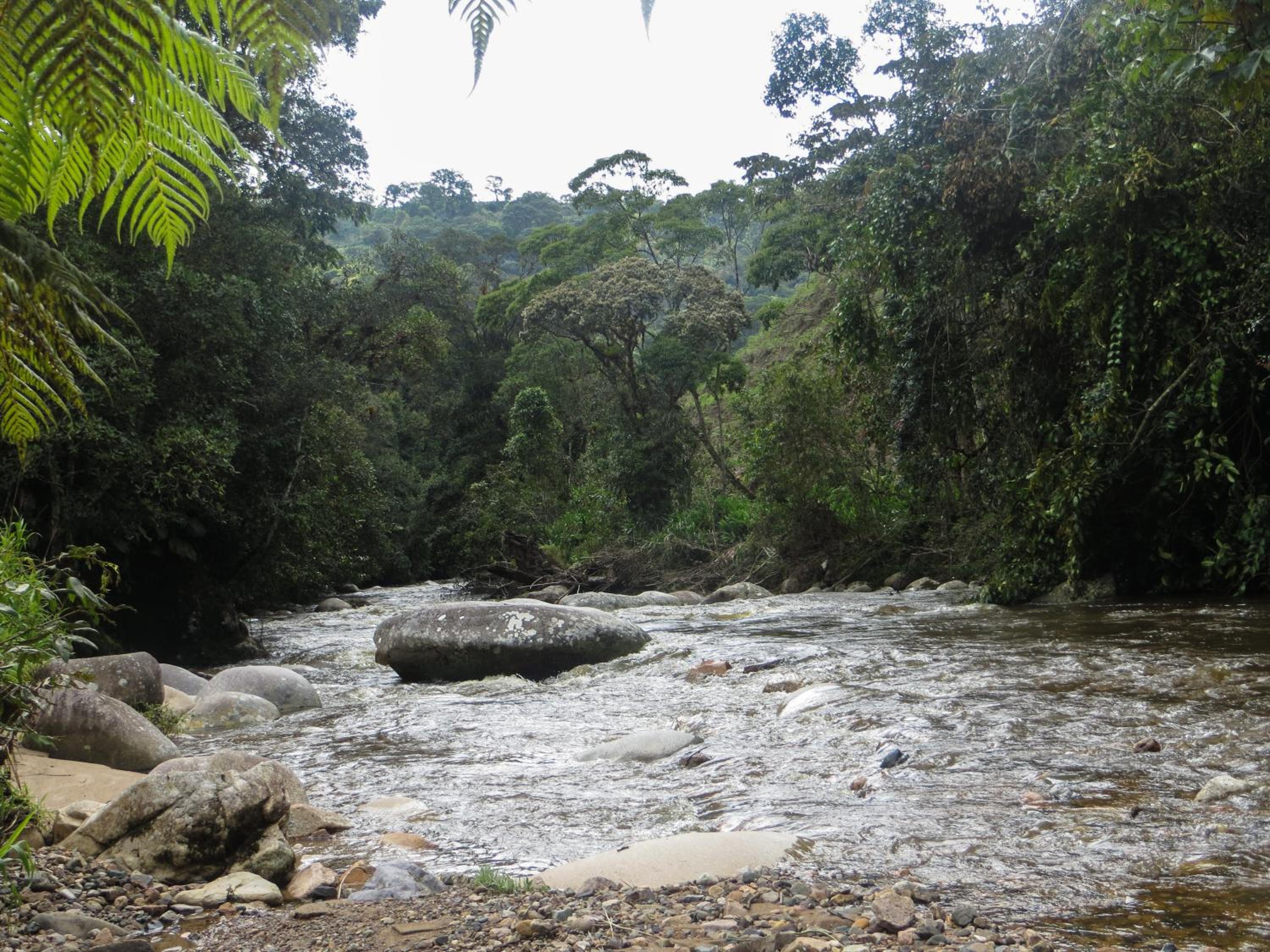 El Encanto Nature Reserve