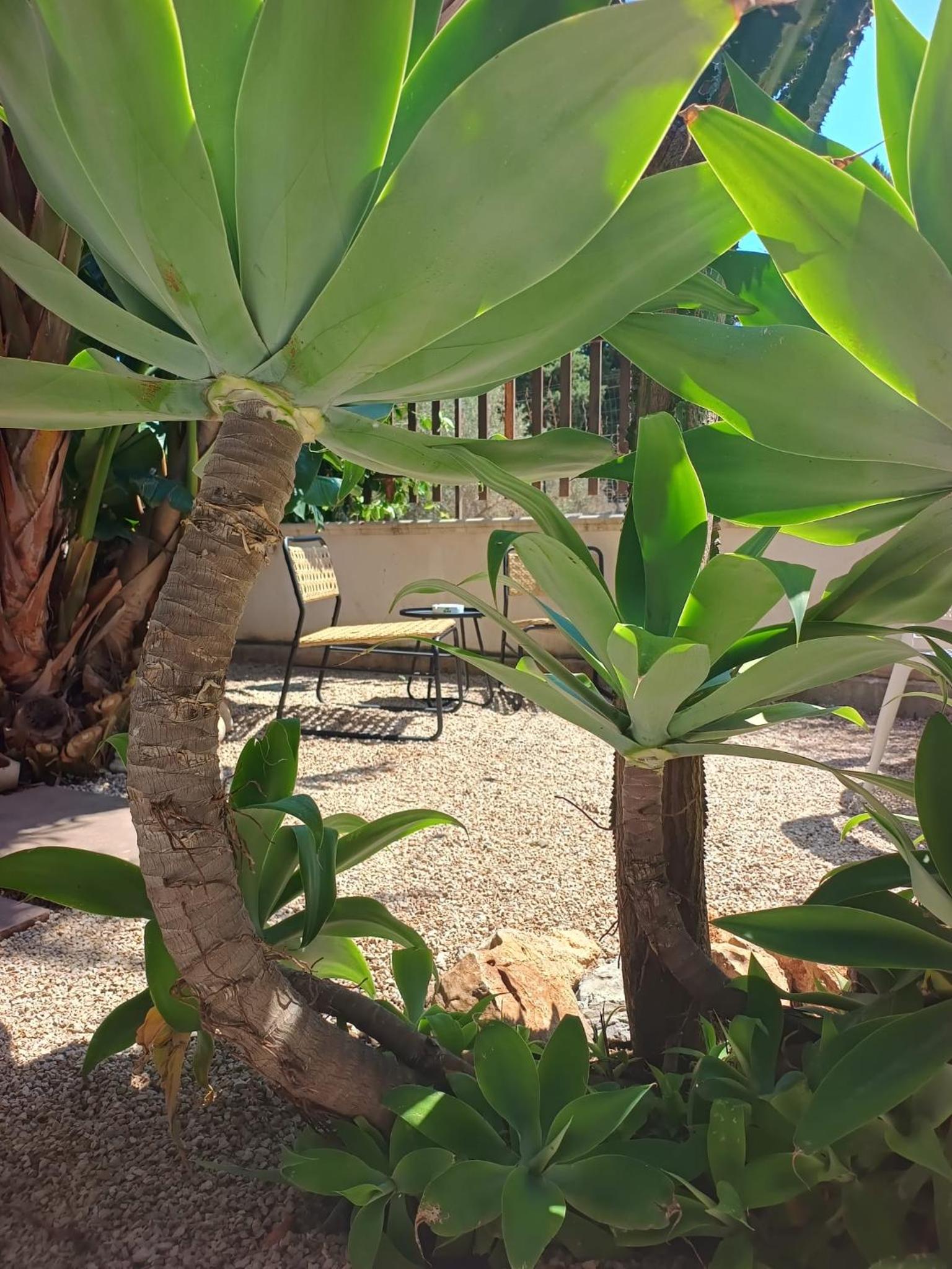 Amunì Guest House