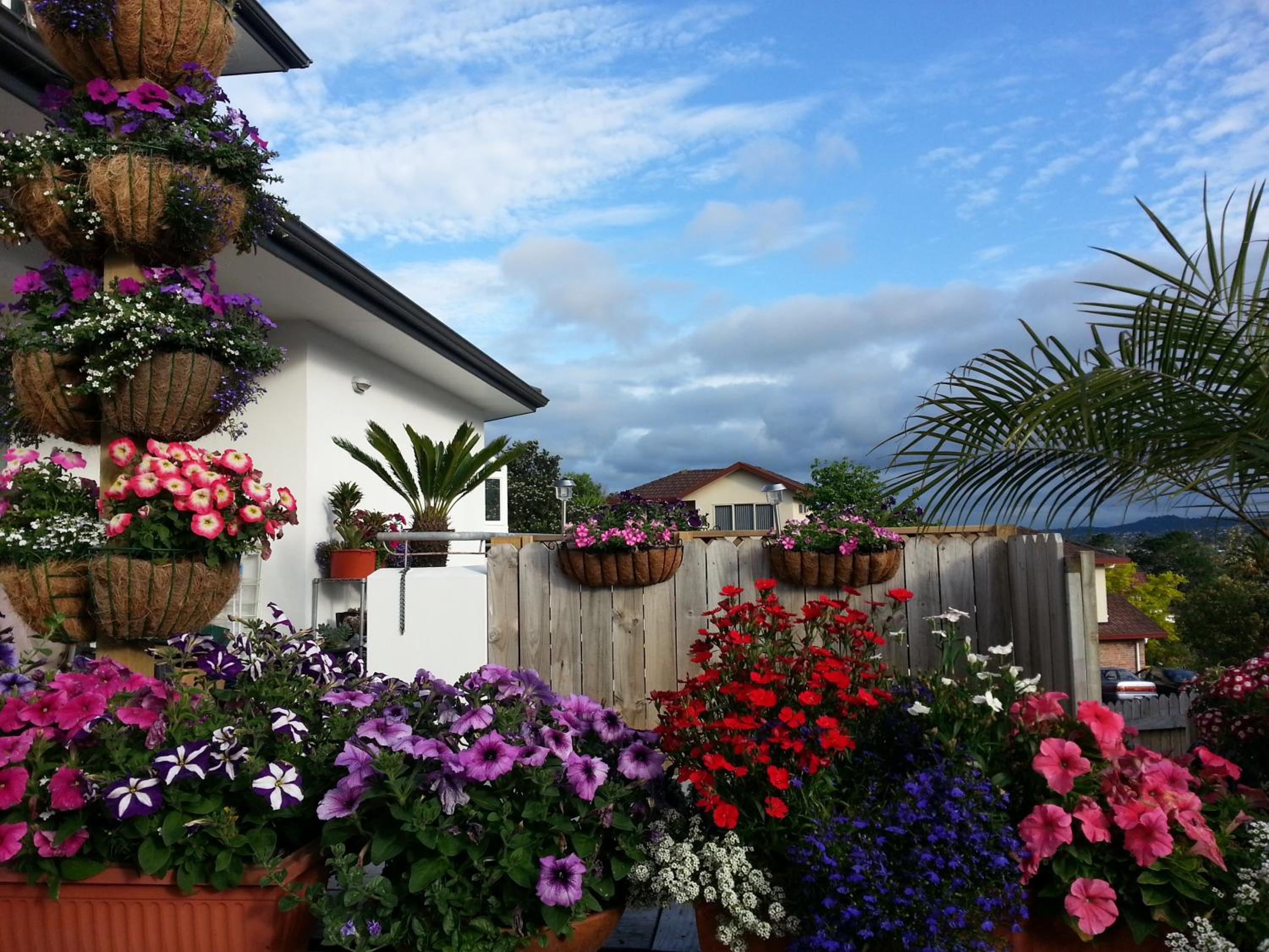 Lush & Co Auckland Bed & Breakfast