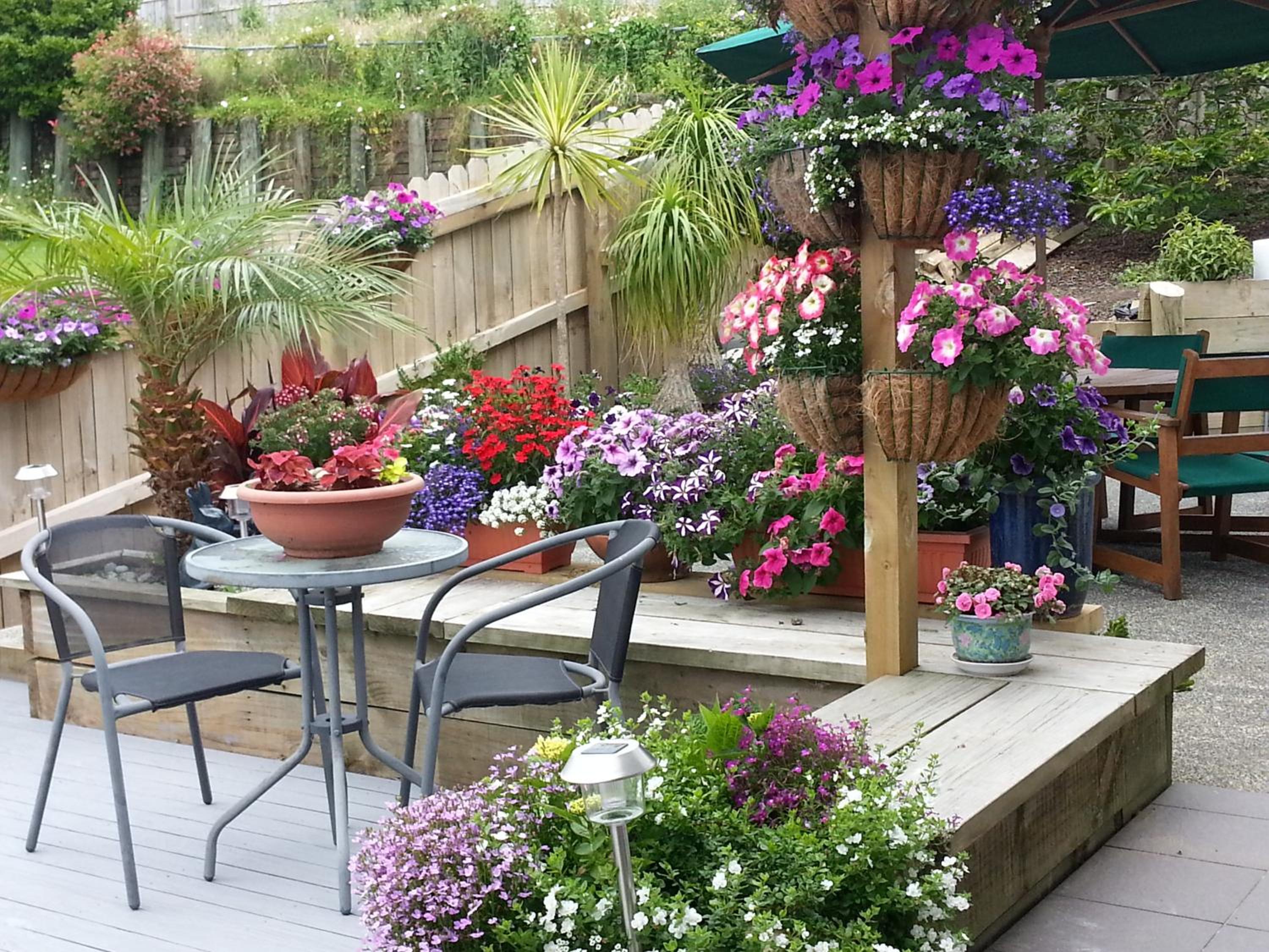 Lush & Co Auckland Bed & Breakfast