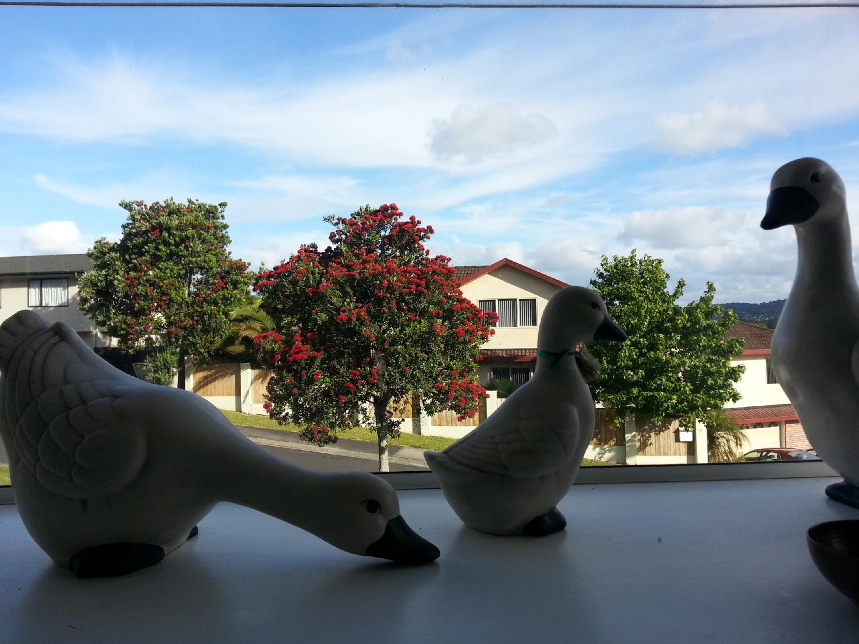 Lush & Co Auckland Bed & Breakfast