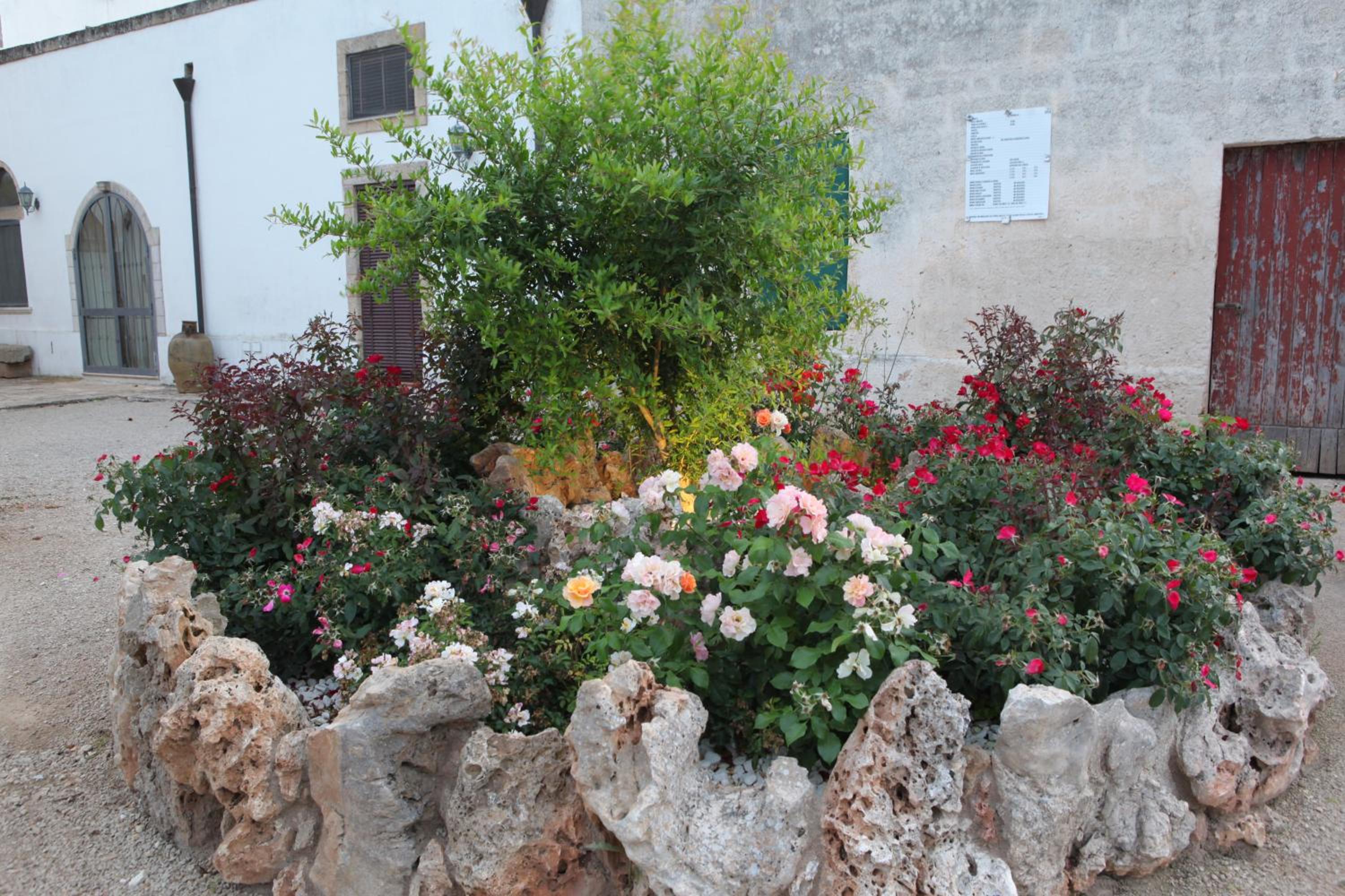 Photo 22