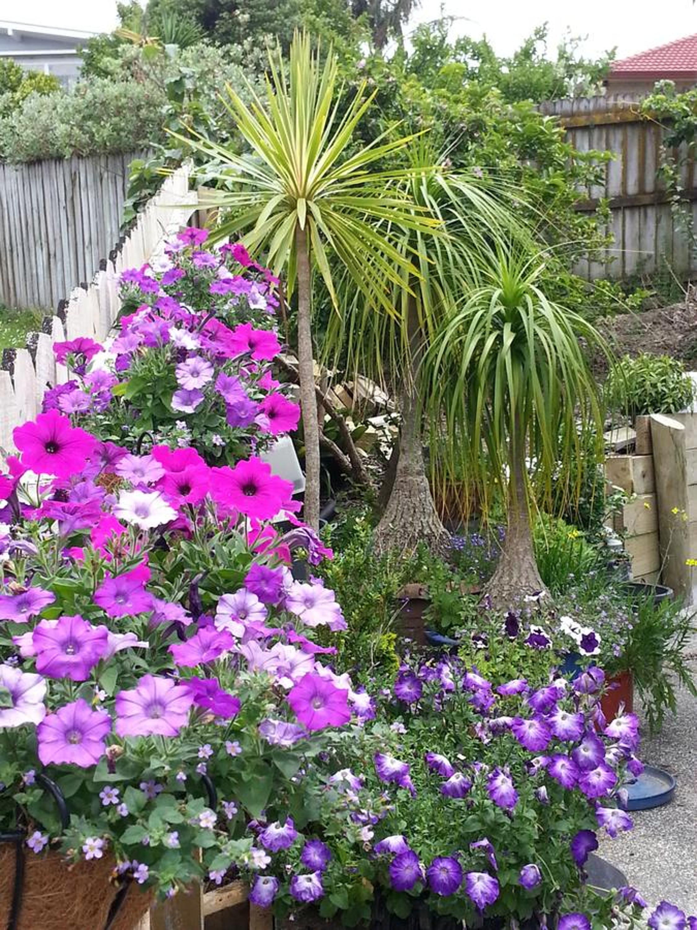 Lush & Co Auckland Bed & Breakfast