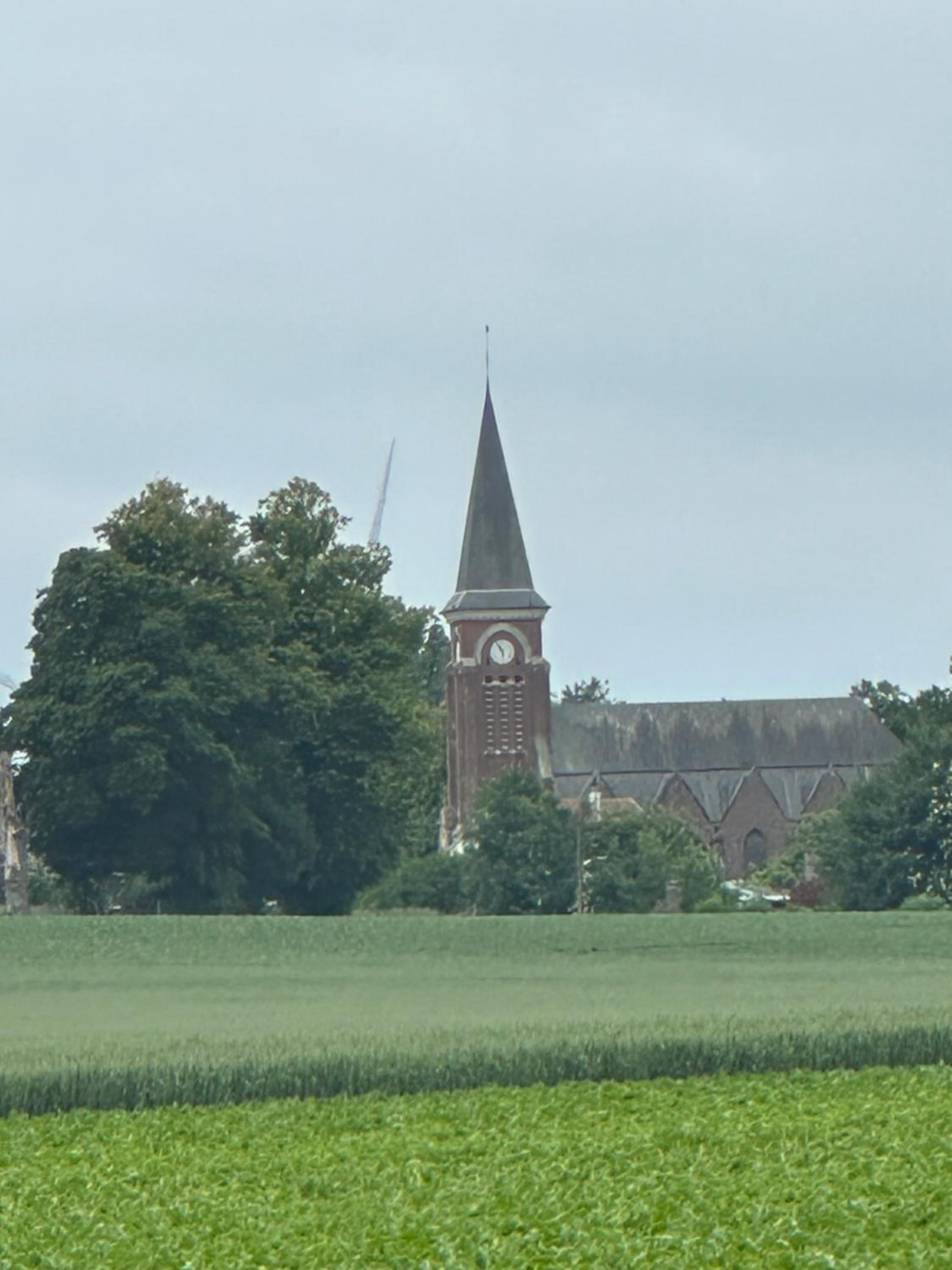 Au fil des champs