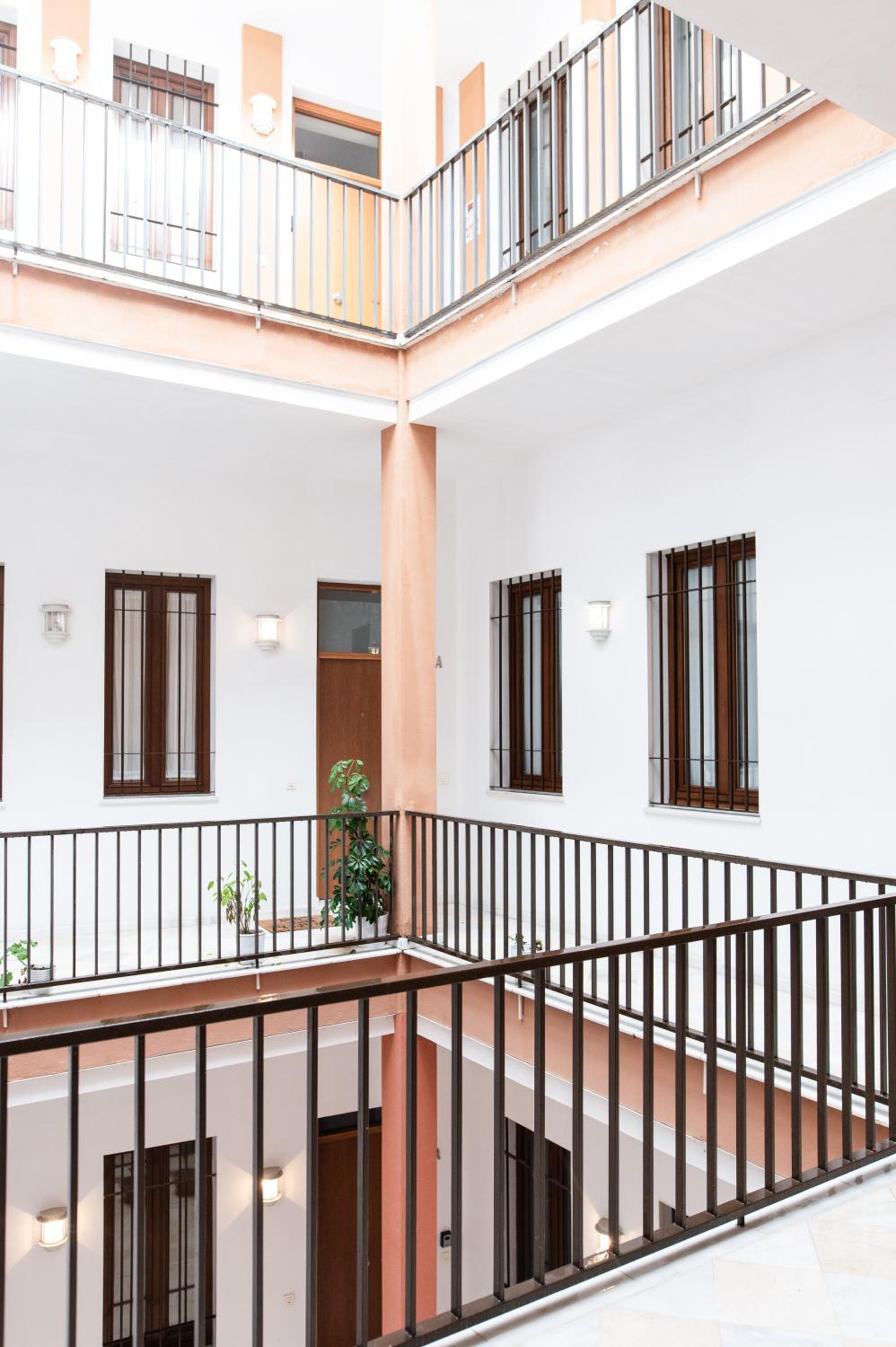 Alohamundi San Eloy