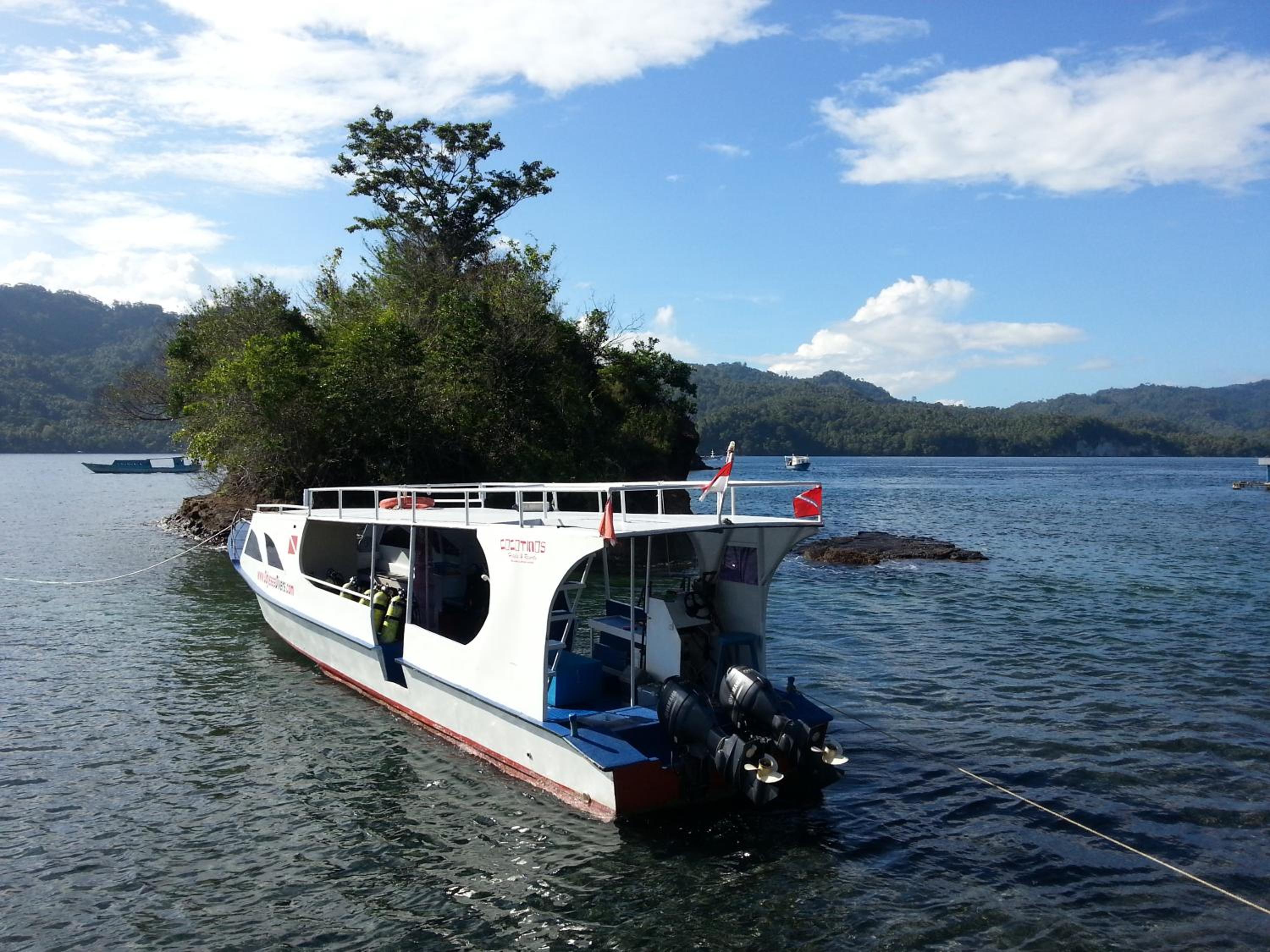 Cocotinos Lembeh a Boutique Dive Lodge