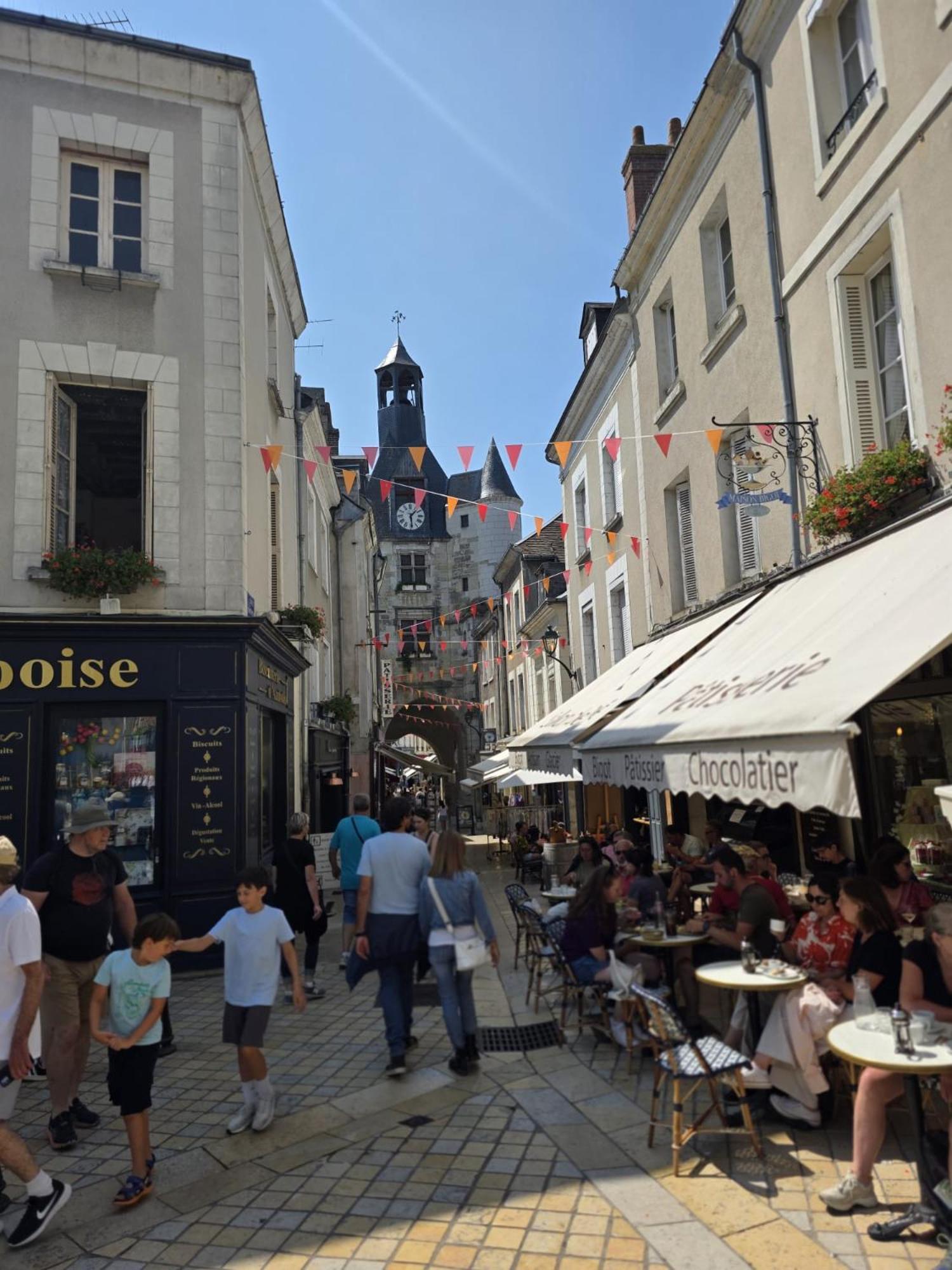 Amboise hyper centre - Cocon Royal à deux pas du Château