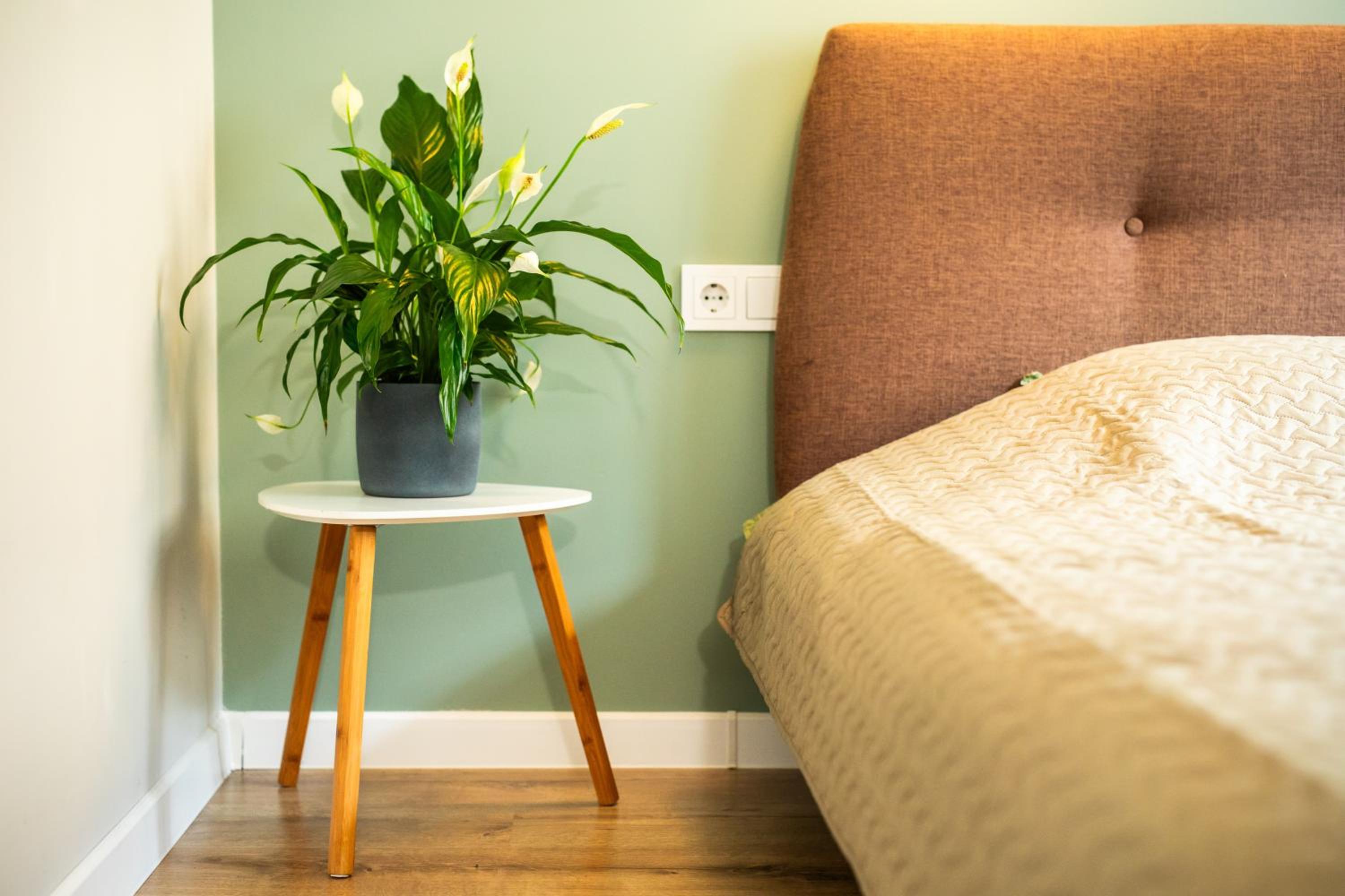 City Comfort Stay - 2 Bedroom Apartment