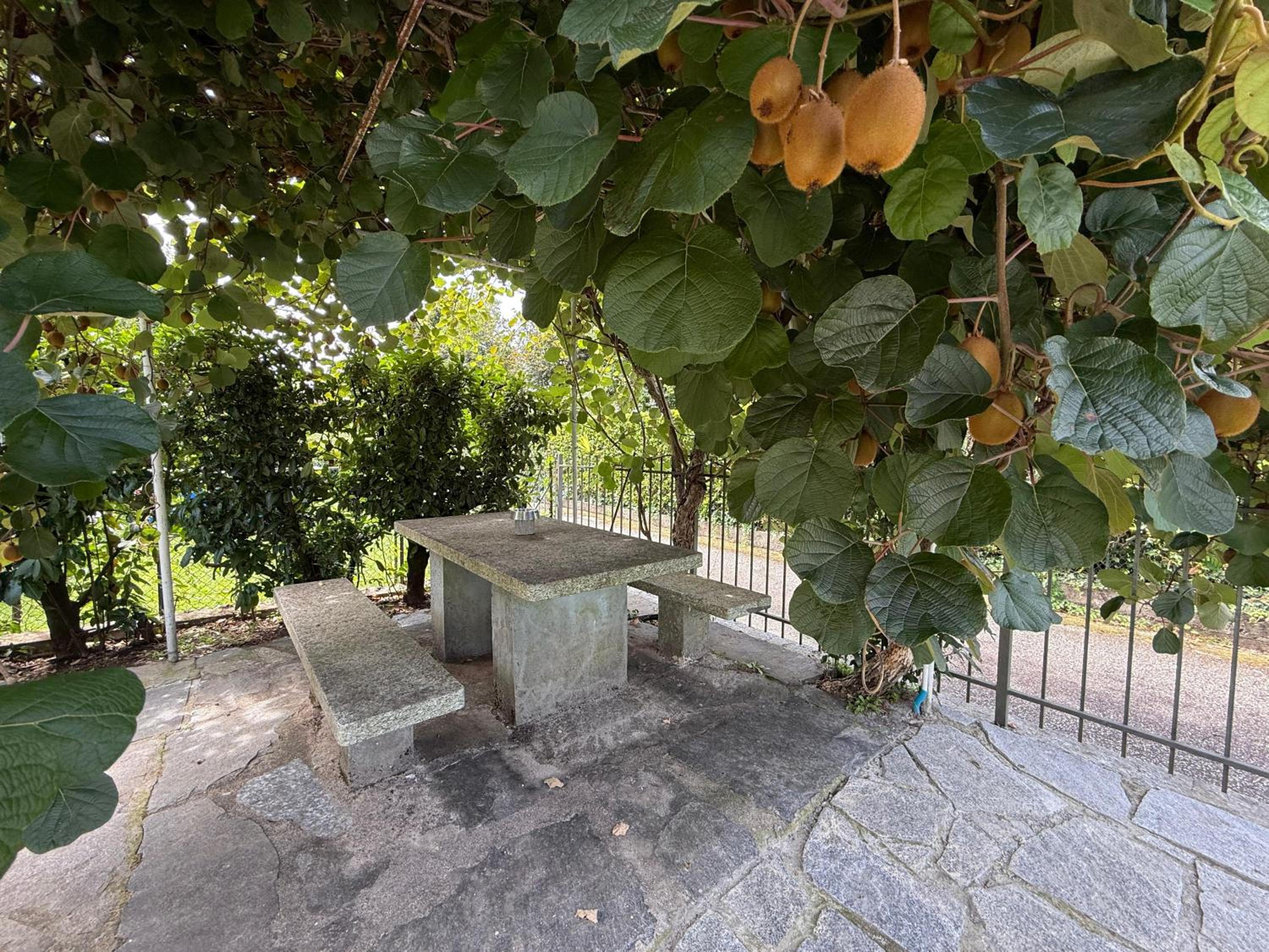 Villa dei Mumi