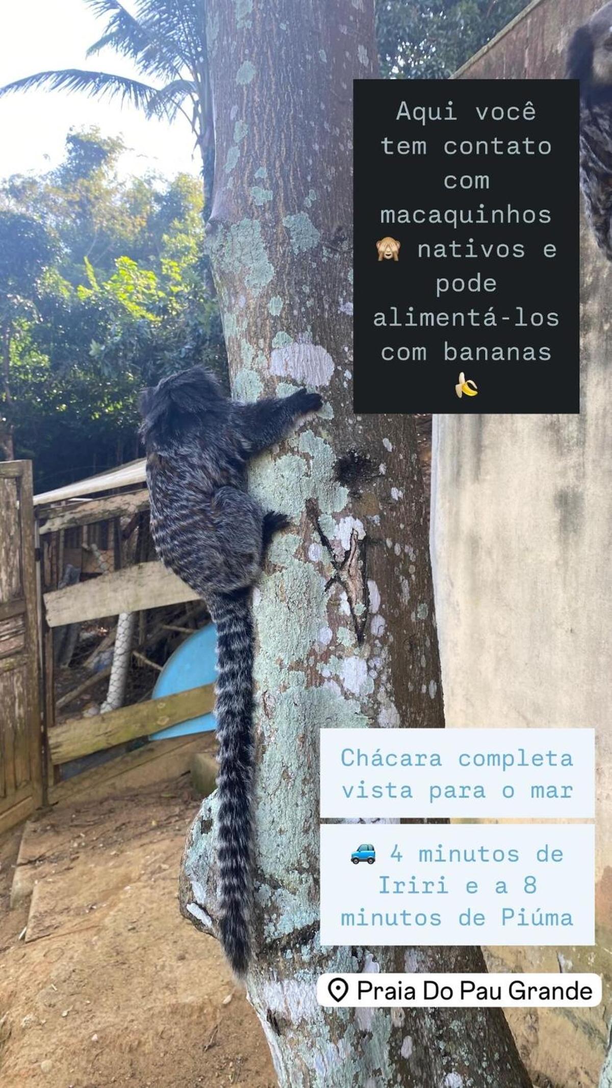 Chácara Vista para o Mar Piúma Próximo a Iriri até 23 pessoas com camping