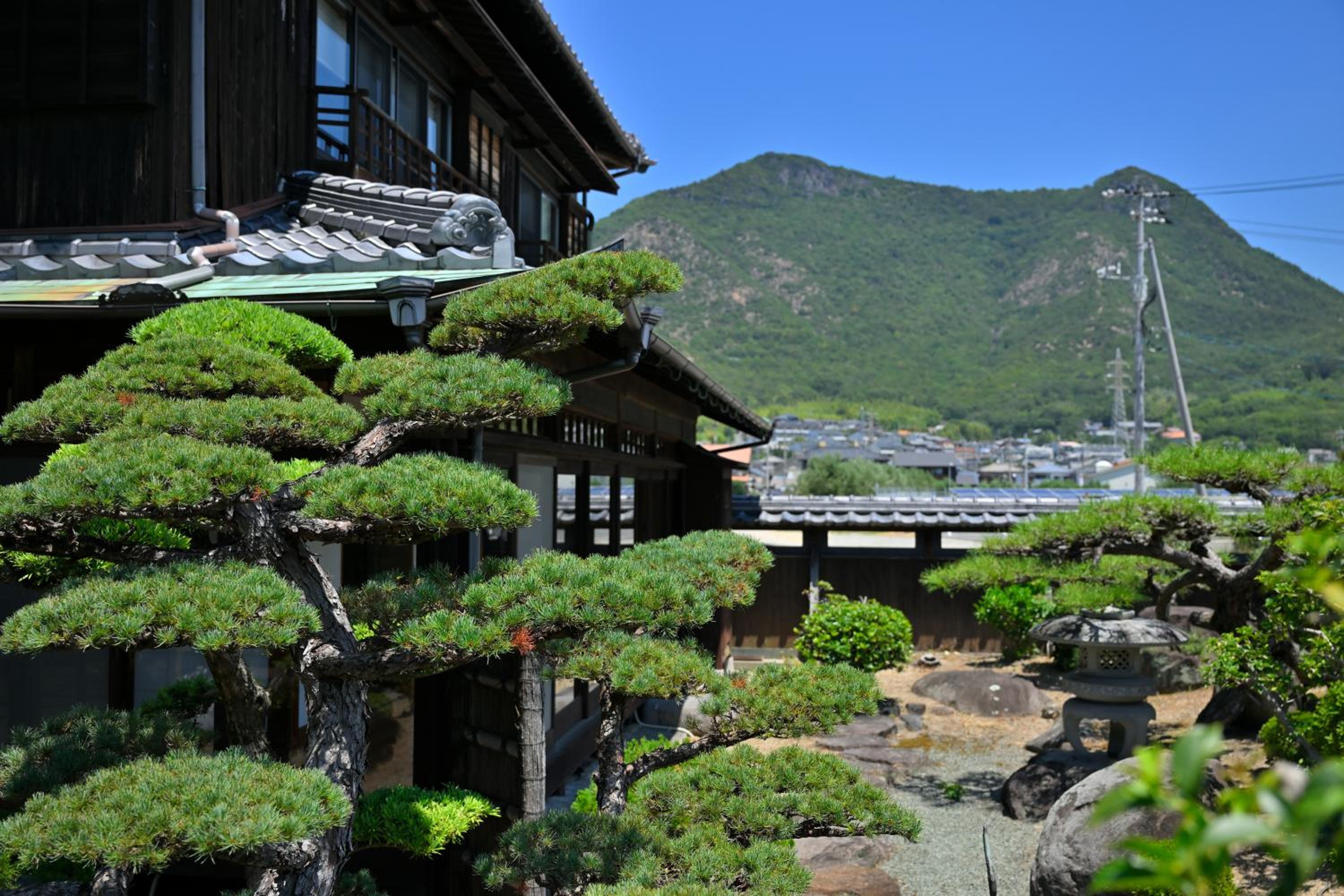 島宿栞