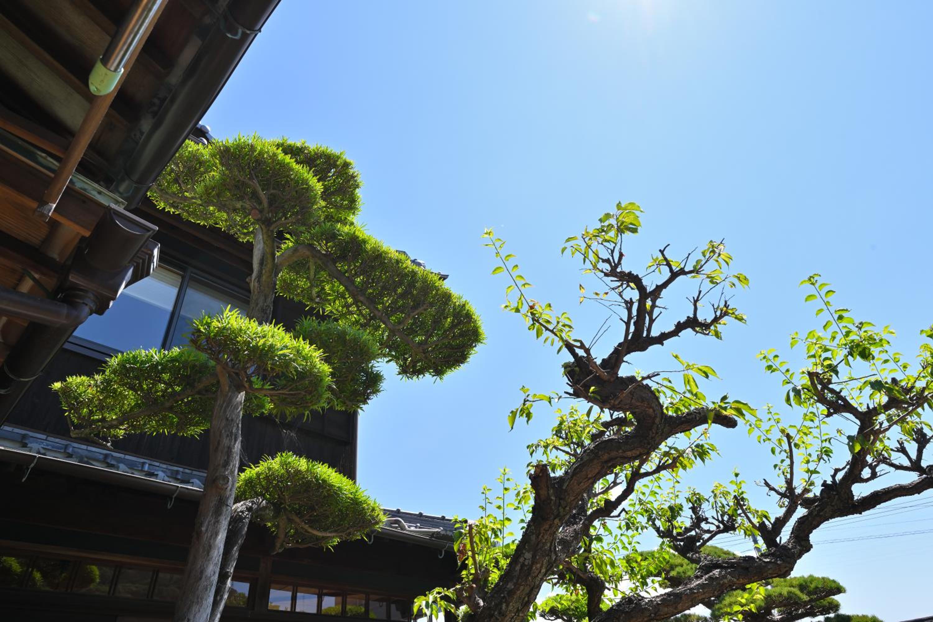島宿栞